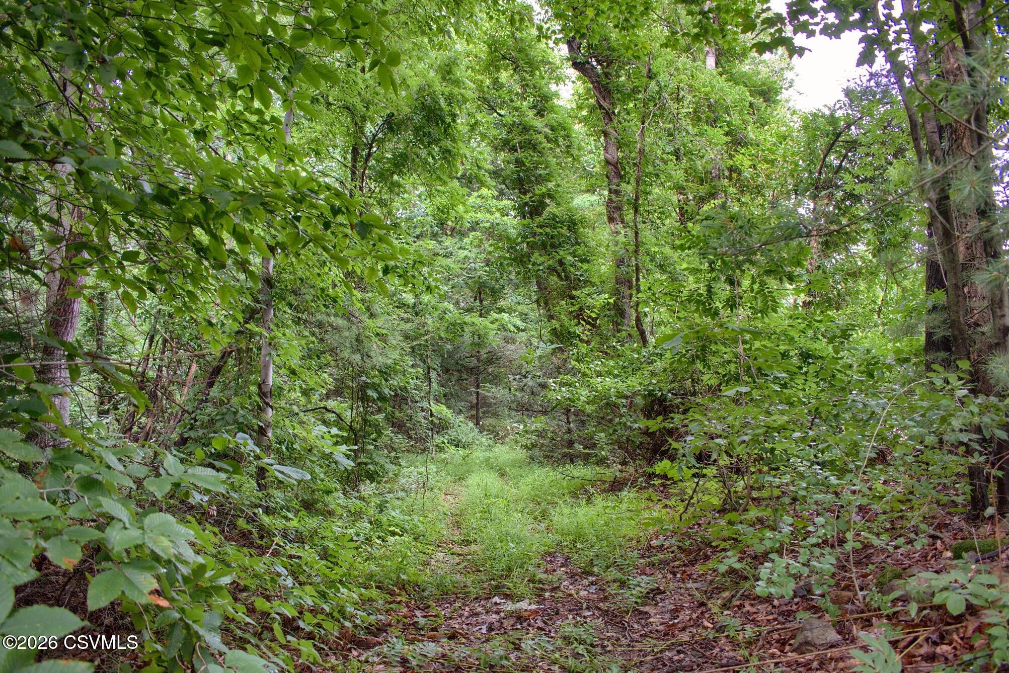 Pa-235 Highway Beavertown, PA 17813 - Photo 4 of 6