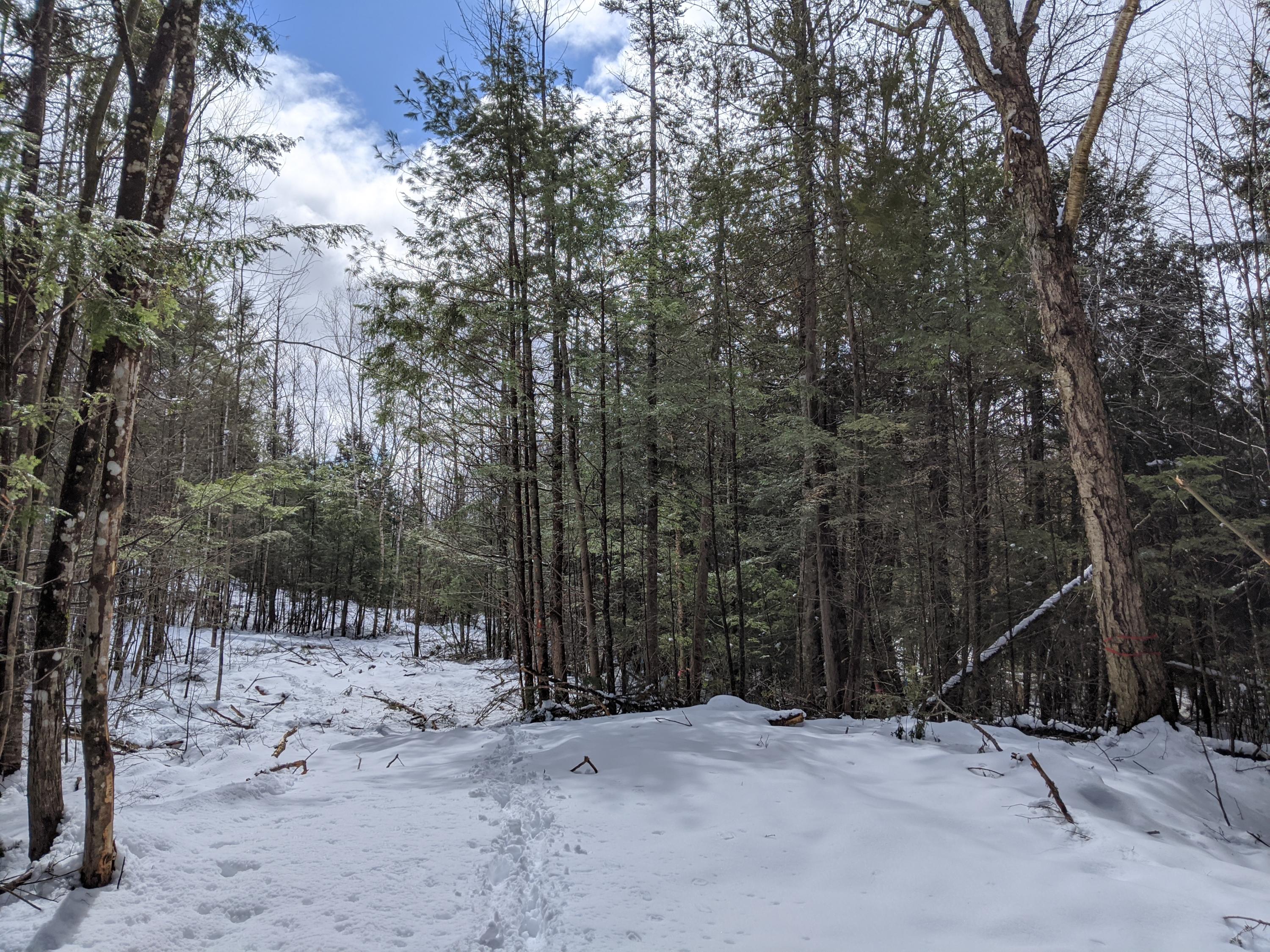 Lot 1 Beaver Ridge Road Freedom, ME 04941 - Photo 5 of 10 IMG_20200324_122629