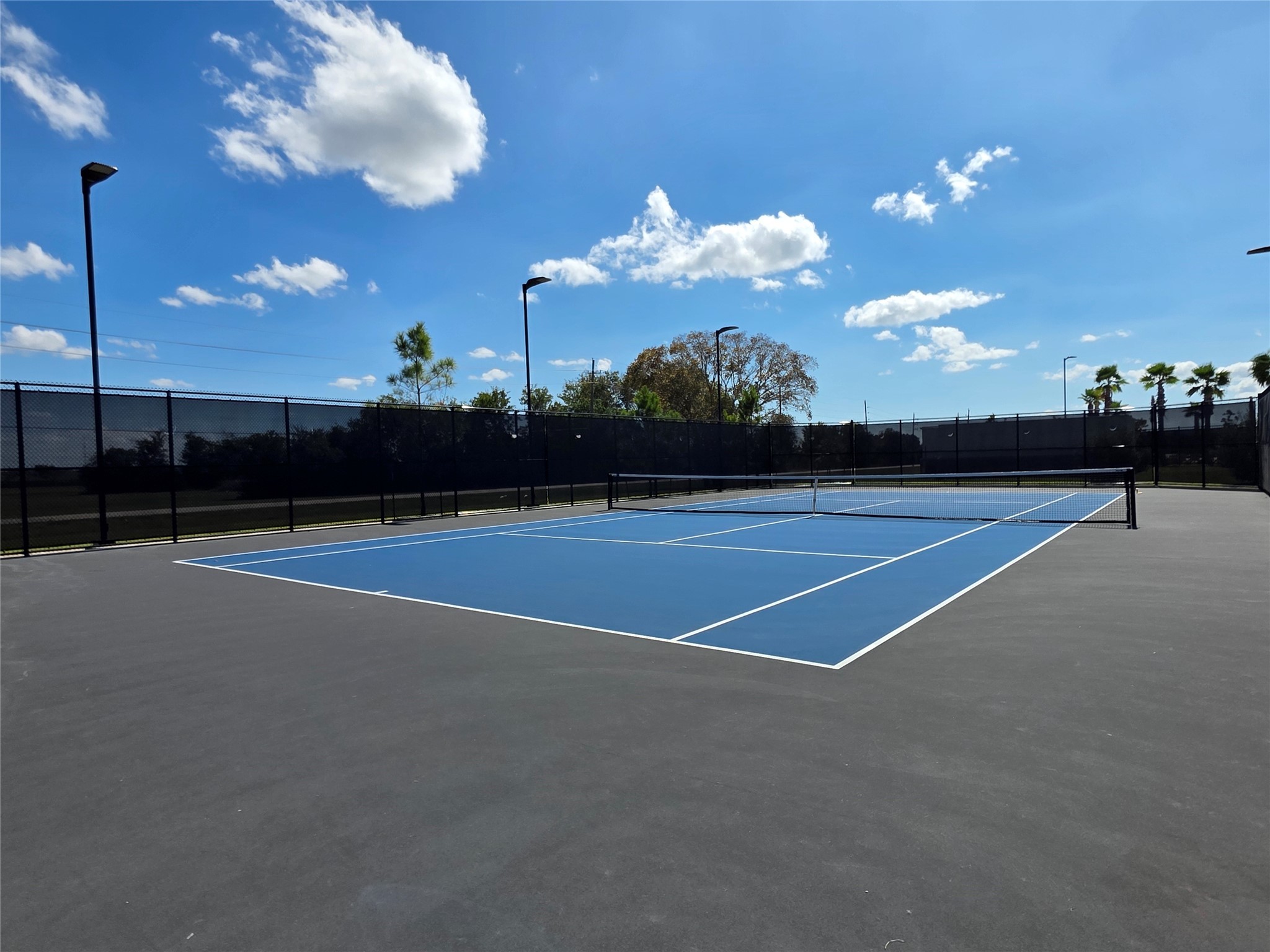 1333 Red Hills Drive Rosharon, TX 77583 - Photo 28 of 29 a view of a tennis court