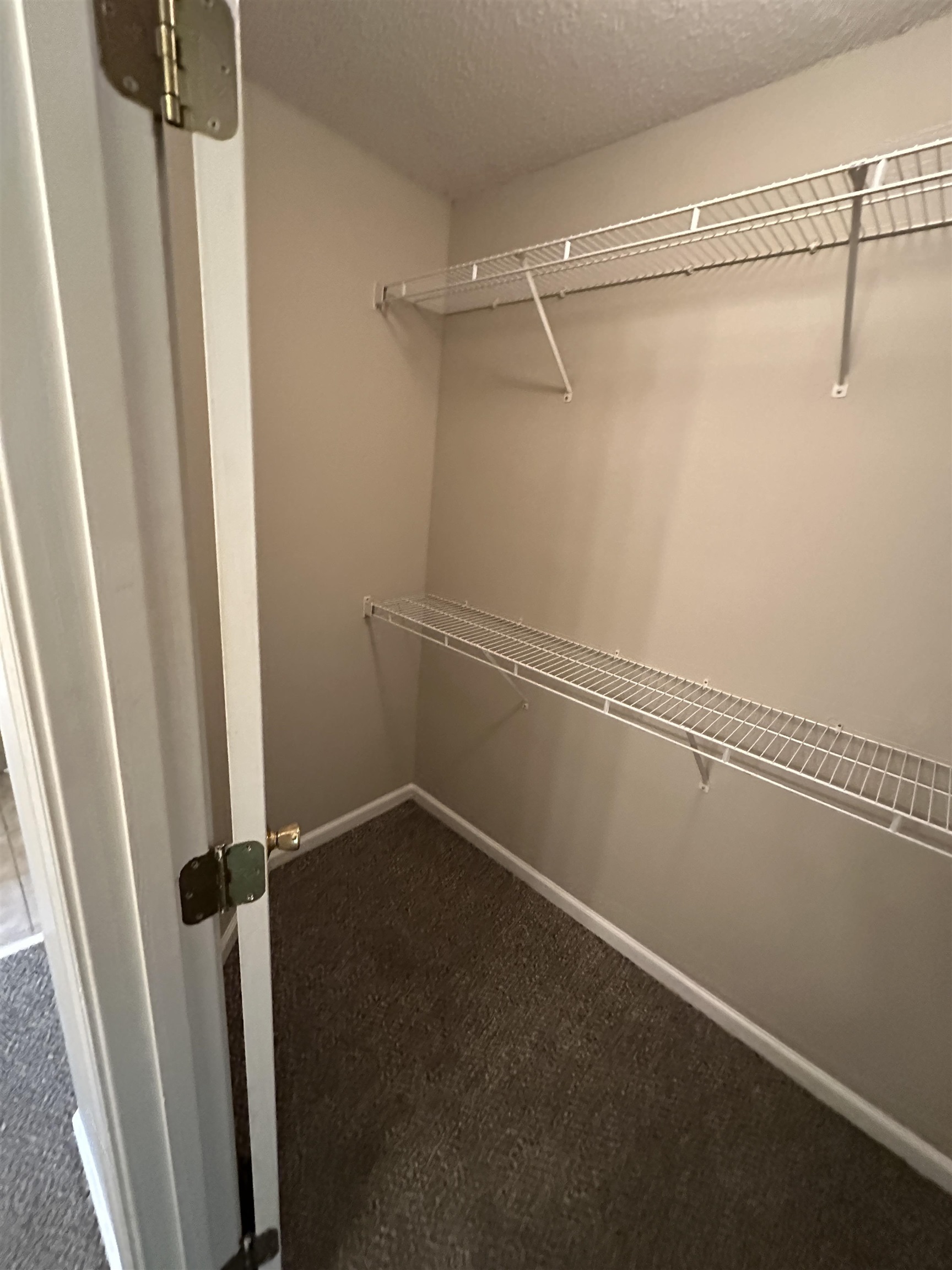 10144 Lynham Drive Cordova, TN 38016 - Photo 11 of 15 a view of a room with racks on the wall