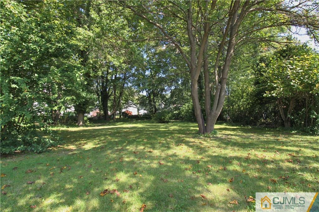 709 Myrtle Road North Brunswick, NJ 08902 - Photo 15 of 16 a view of a trees in a yard