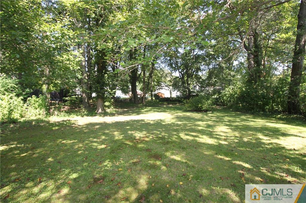 709 Myrtle Road North Brunswick, NJ 08902 - Photo 16 of 16 a view of a yard with a tree