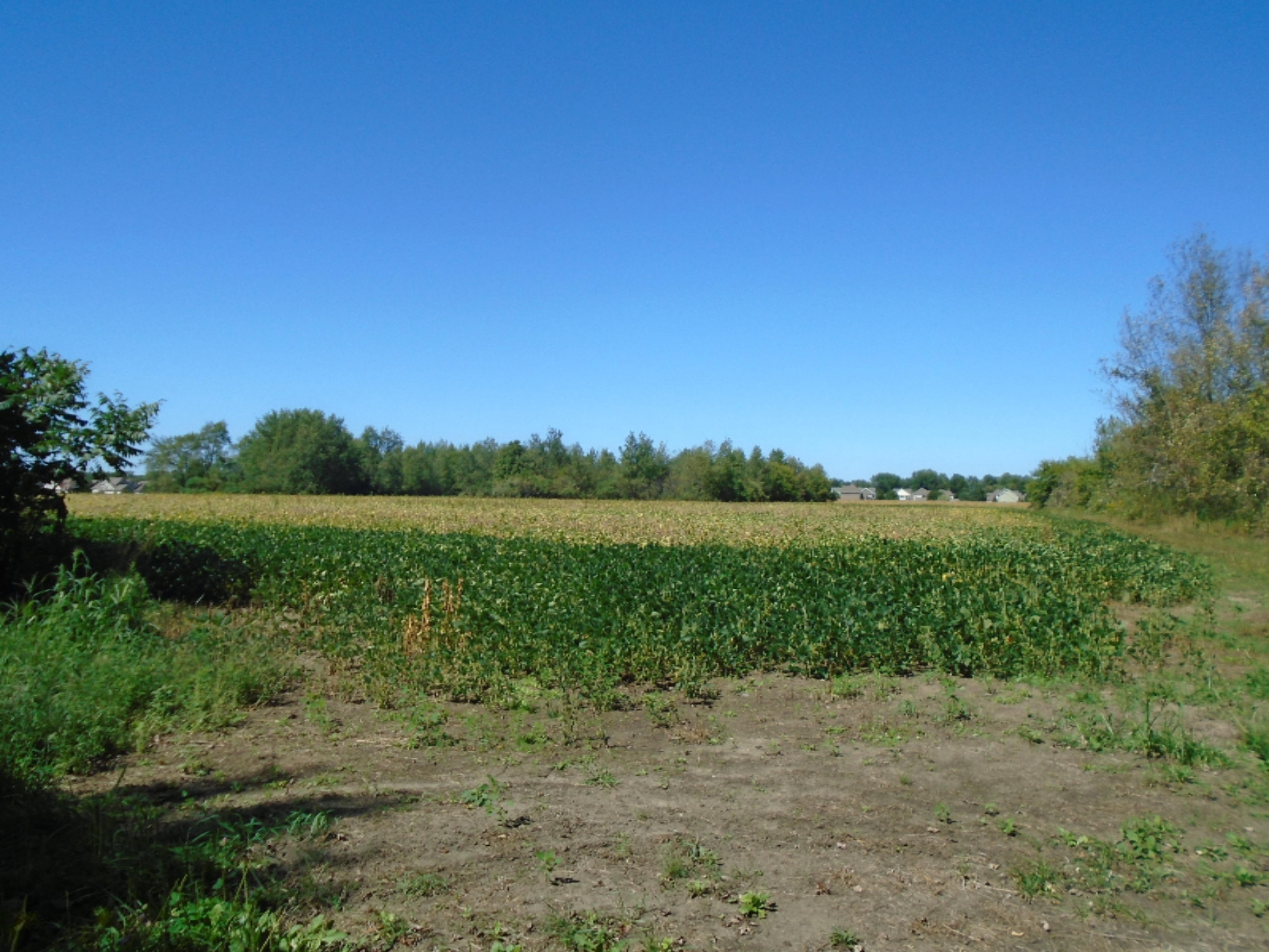 2163 West Rockey Weed Road Stevensville, MI 49127 - Photo 3 of 3 DSC00329