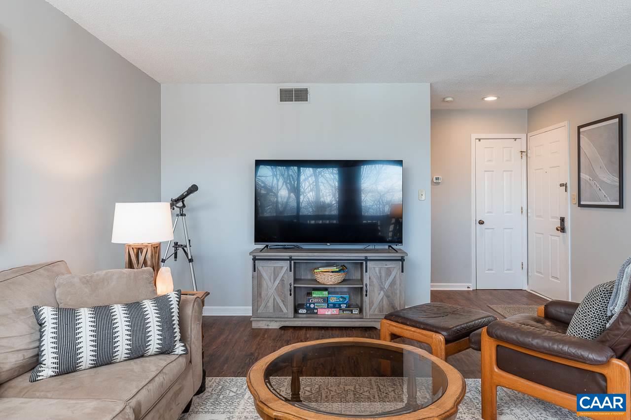 2047 Stone Ridge Roseland, VA 22967 - Photo 6 of 24 a living room with furniture and a flat screen tv