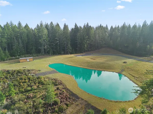 a view of a swimming pool with an outdoor space