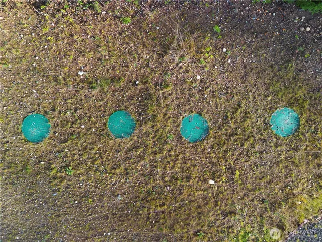 a view of a tree with a yard