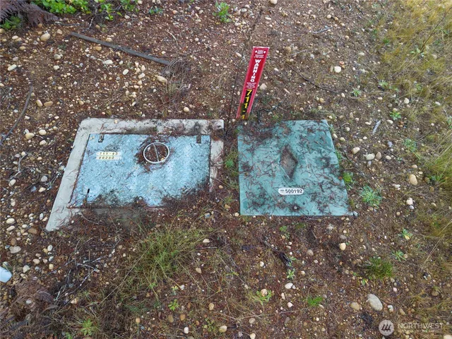 a view of a forest filled with trees