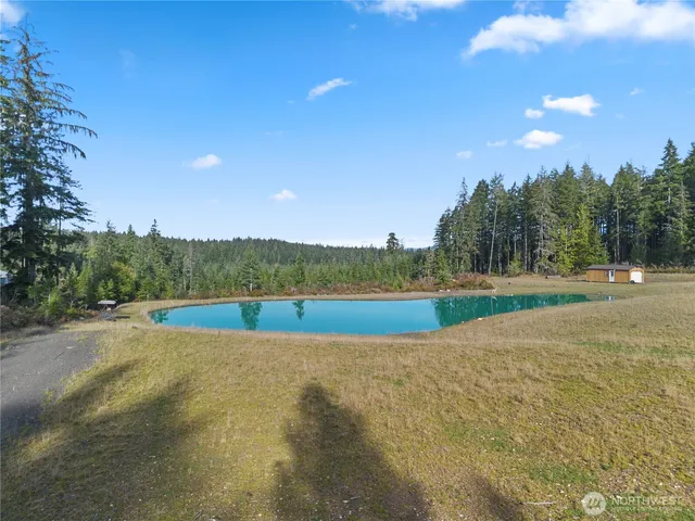 a view of a swimming pool with a yard and trees in the background