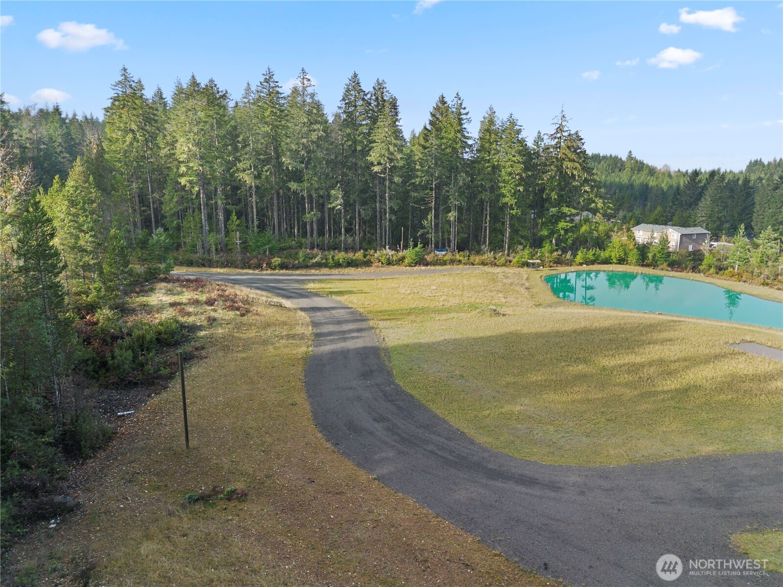 151 East Kingsley Place Belfair, WA 98528 - Photo 23 of 40 a view of a swimming pool with a yard and trees in the background