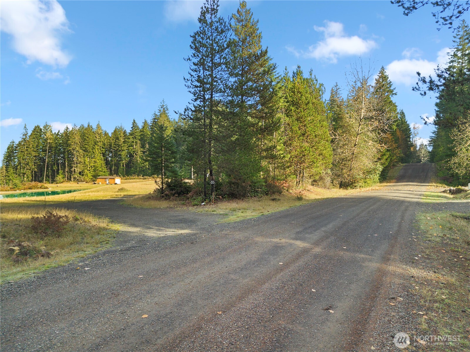 151 East Kingsley Place Belfair, WA 98528 - Photo 26 of 40 a view of road with trees