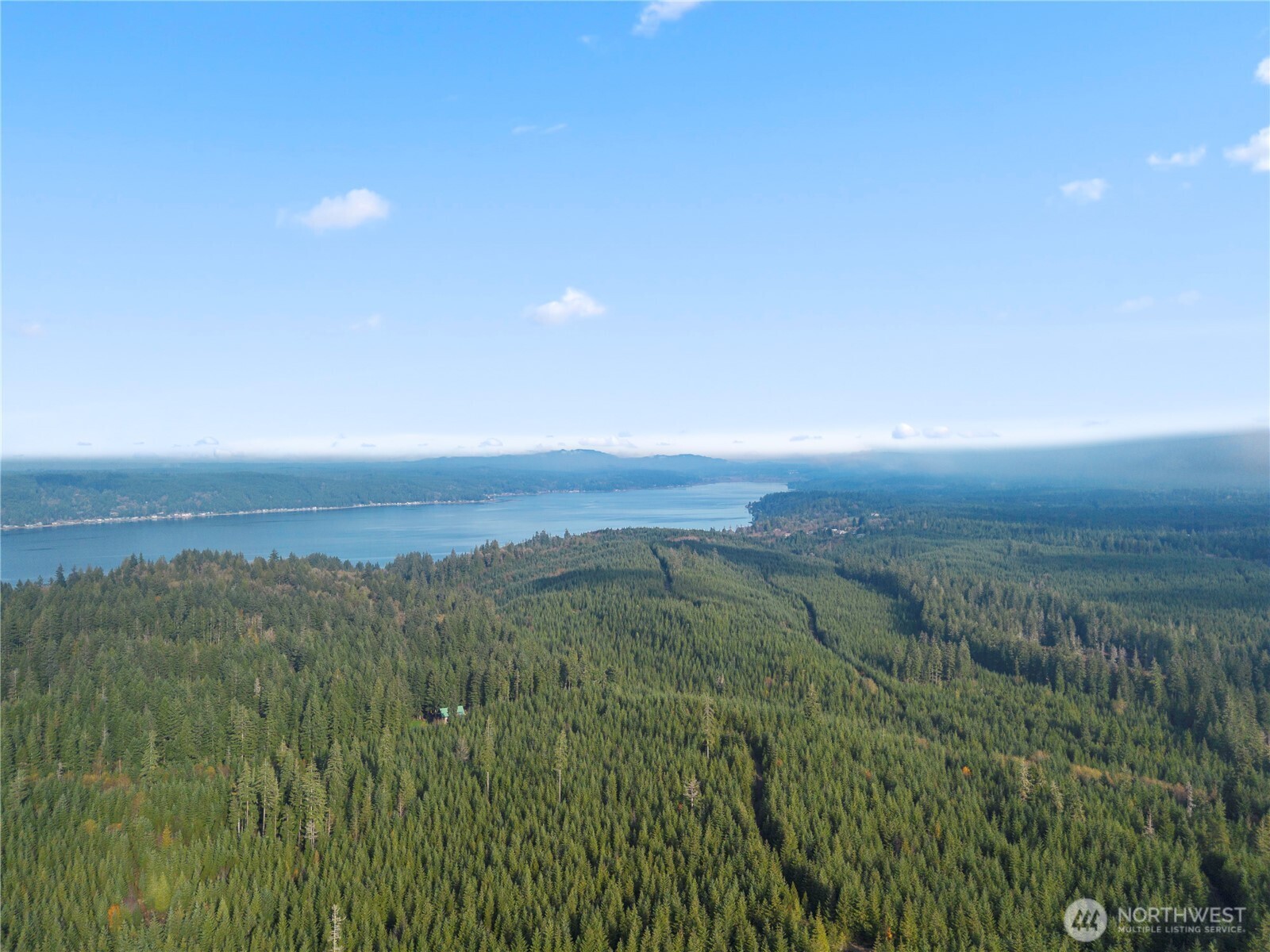 151 East Kingsley Place Belfair, WA 98528 - Photo 28 of 40 a view of a city with lush green forest