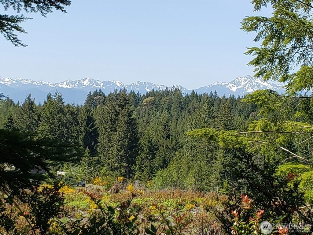 151 East Kingsley Place Belfair, WA 98528 - Photo 31 of 40 a view of a lake