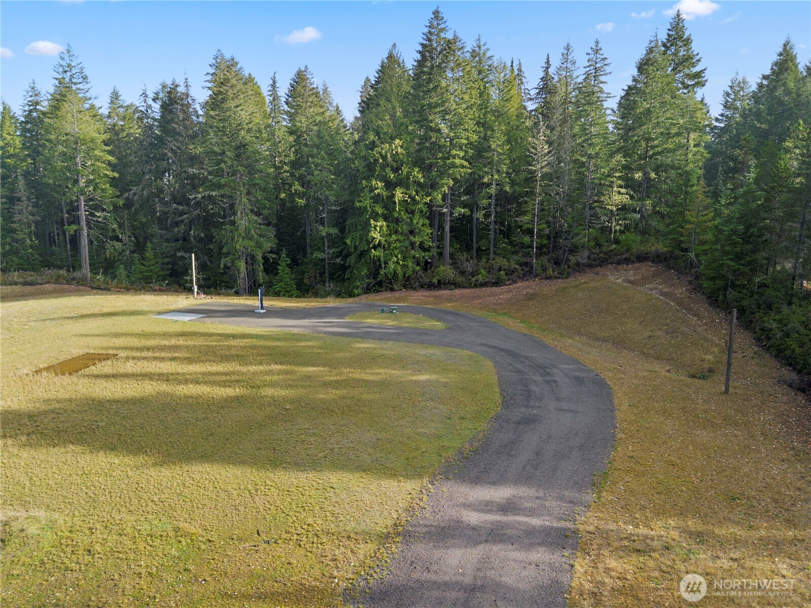 151 East Kingsley Place Belfair, WA 98528 - Photo 7 of 40 a view of a swimming pool with trees in the background