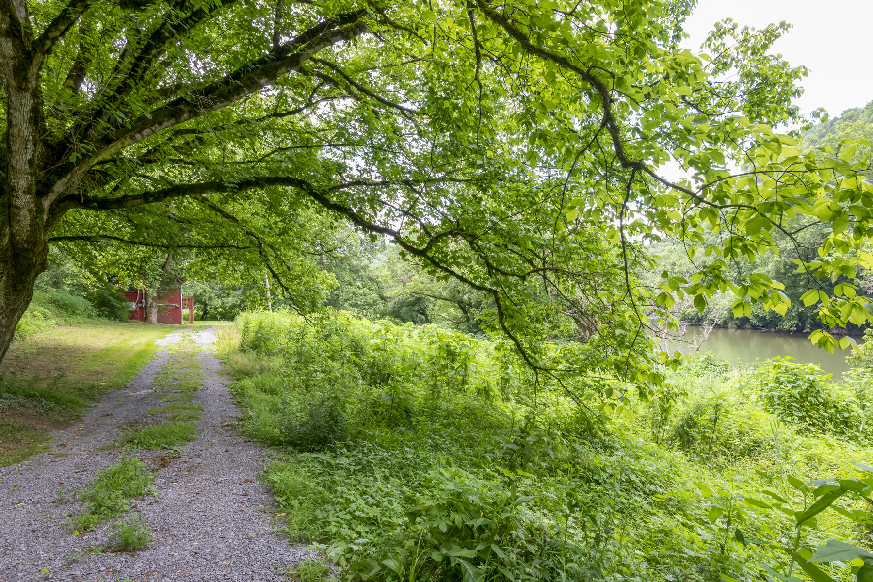 9557 Chestnut Ridge Road Eidson, TN 37731 - Photo 16 of 33 _8505005-Edit