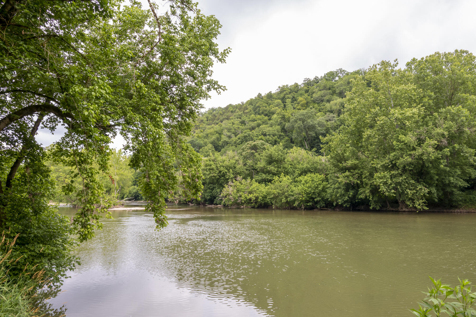 9557 Chestnut Ridge Road Eidson, TN 37731 - Photo 2 of 33 _8504921-Edit-Edit-Edit