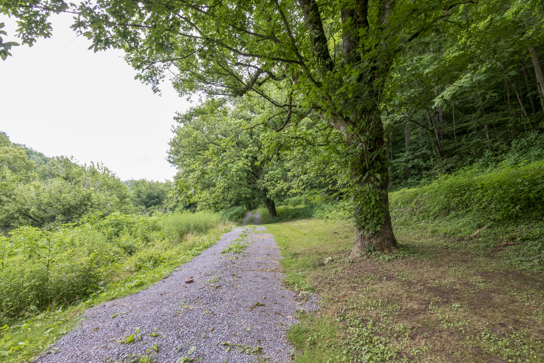9557 Chestnut Ridge Road Eidson, TN 37731 - Photo 24 of 33 Driveway