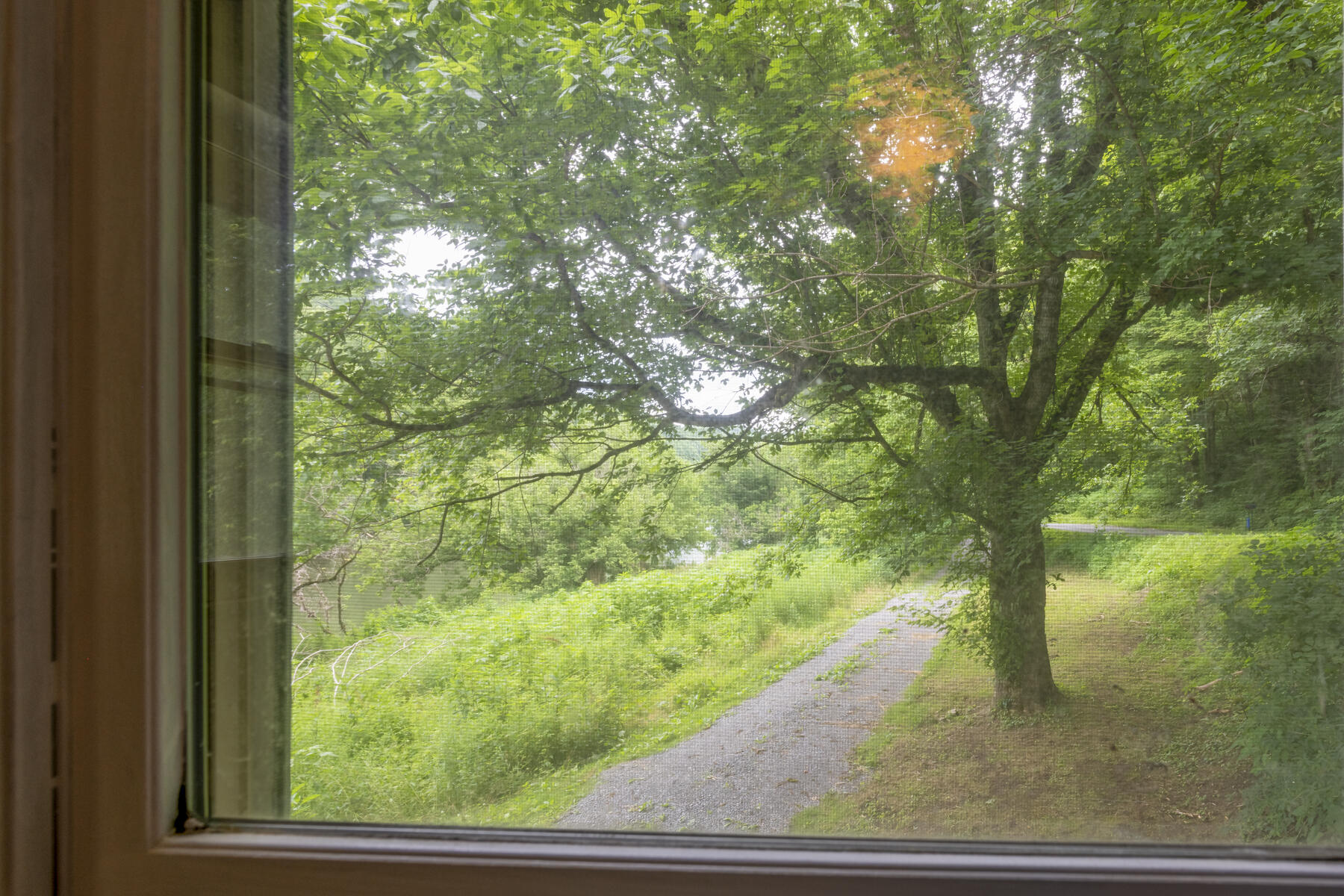 9557 Chestnut Ridge Road Eidson, TN 37731 - Photo 30 of 33 View from bedroom 1