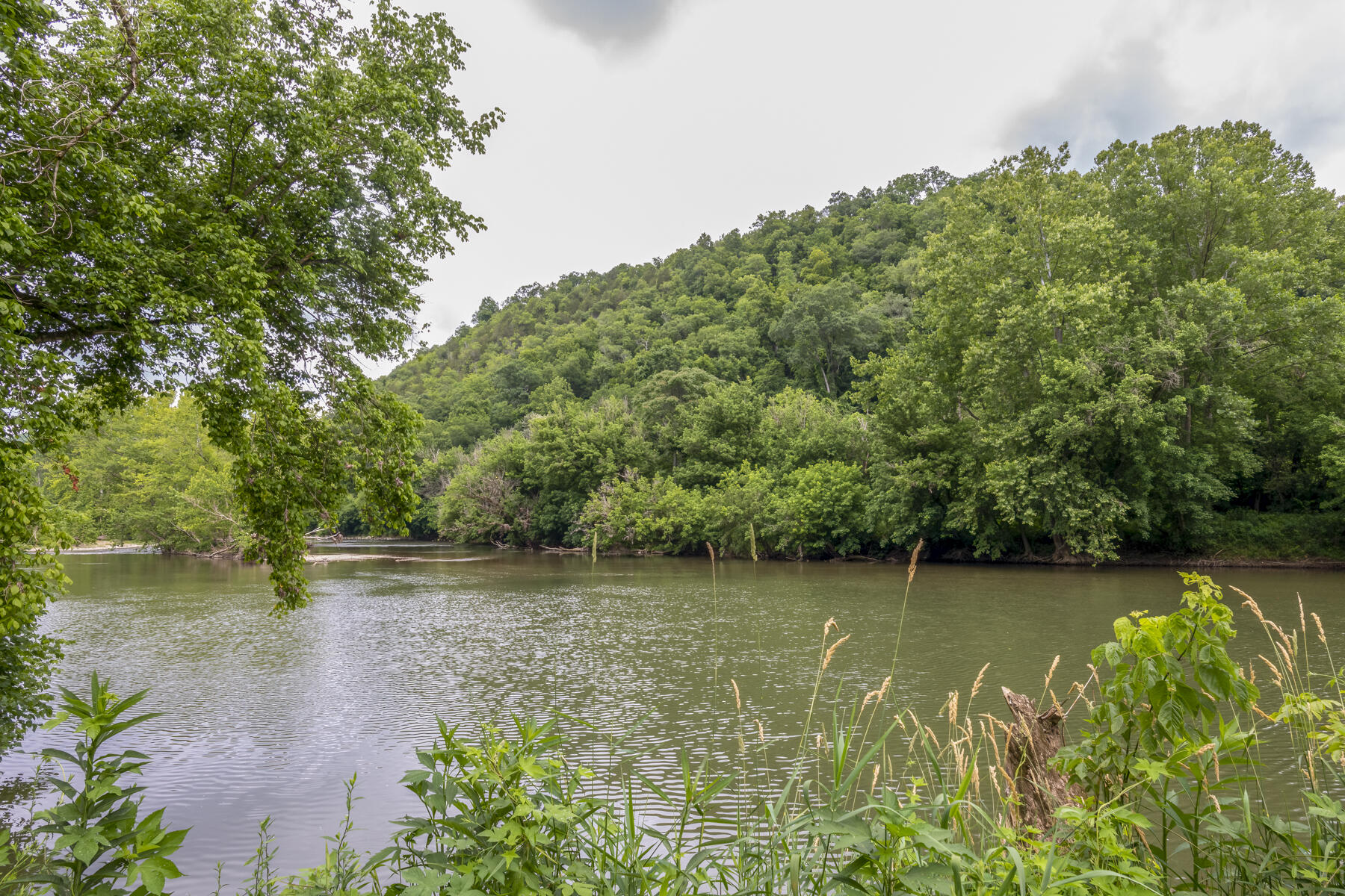 9557 Chestnut Ridge Road Eidson, TN 37731 - Photo 3 of 33 _8504922-Edit-Edit
