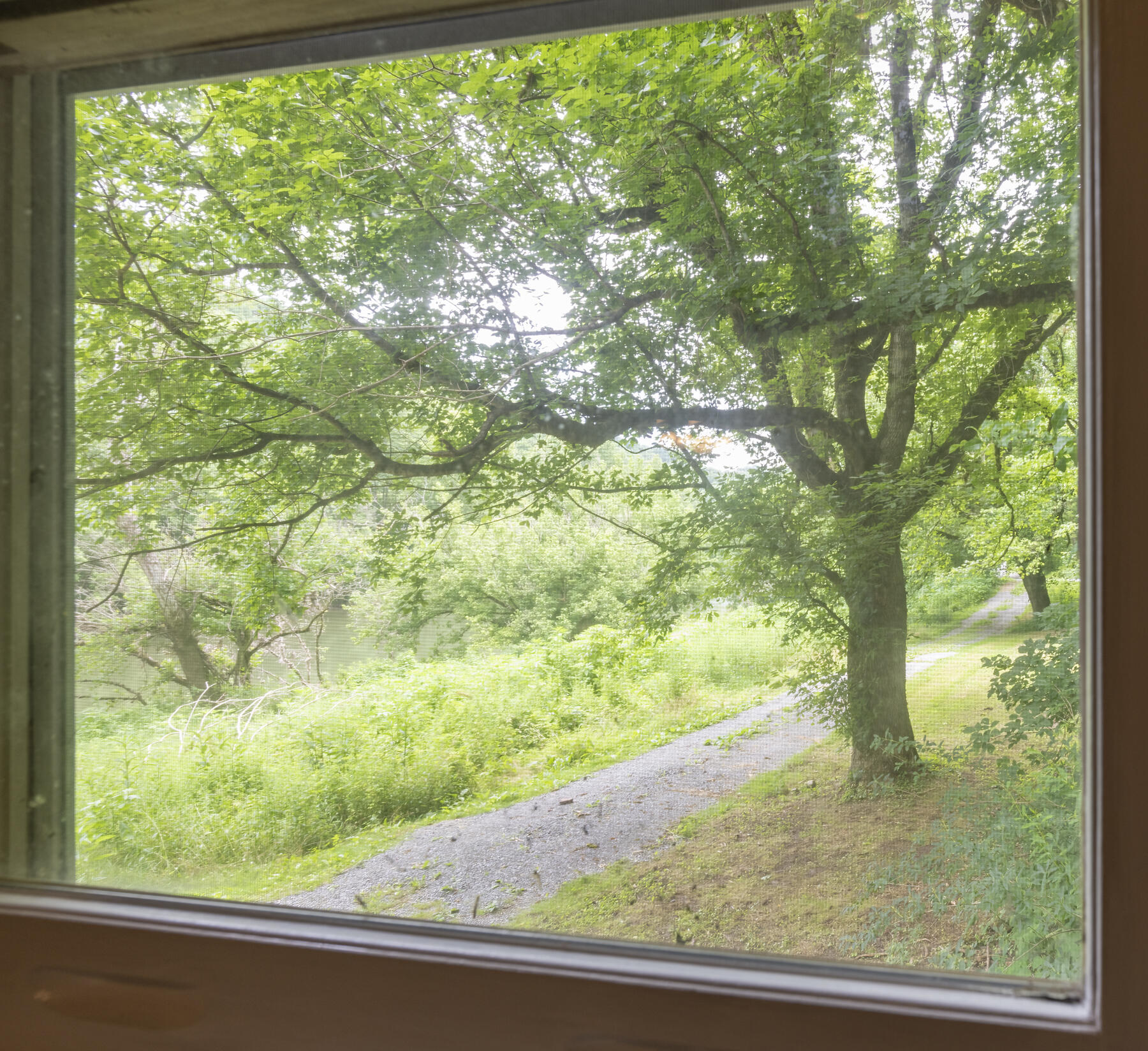 9557 Chestnut Ridge Road Eidson, TN 37731 - Photo 31 of 33 View from bedroom 2