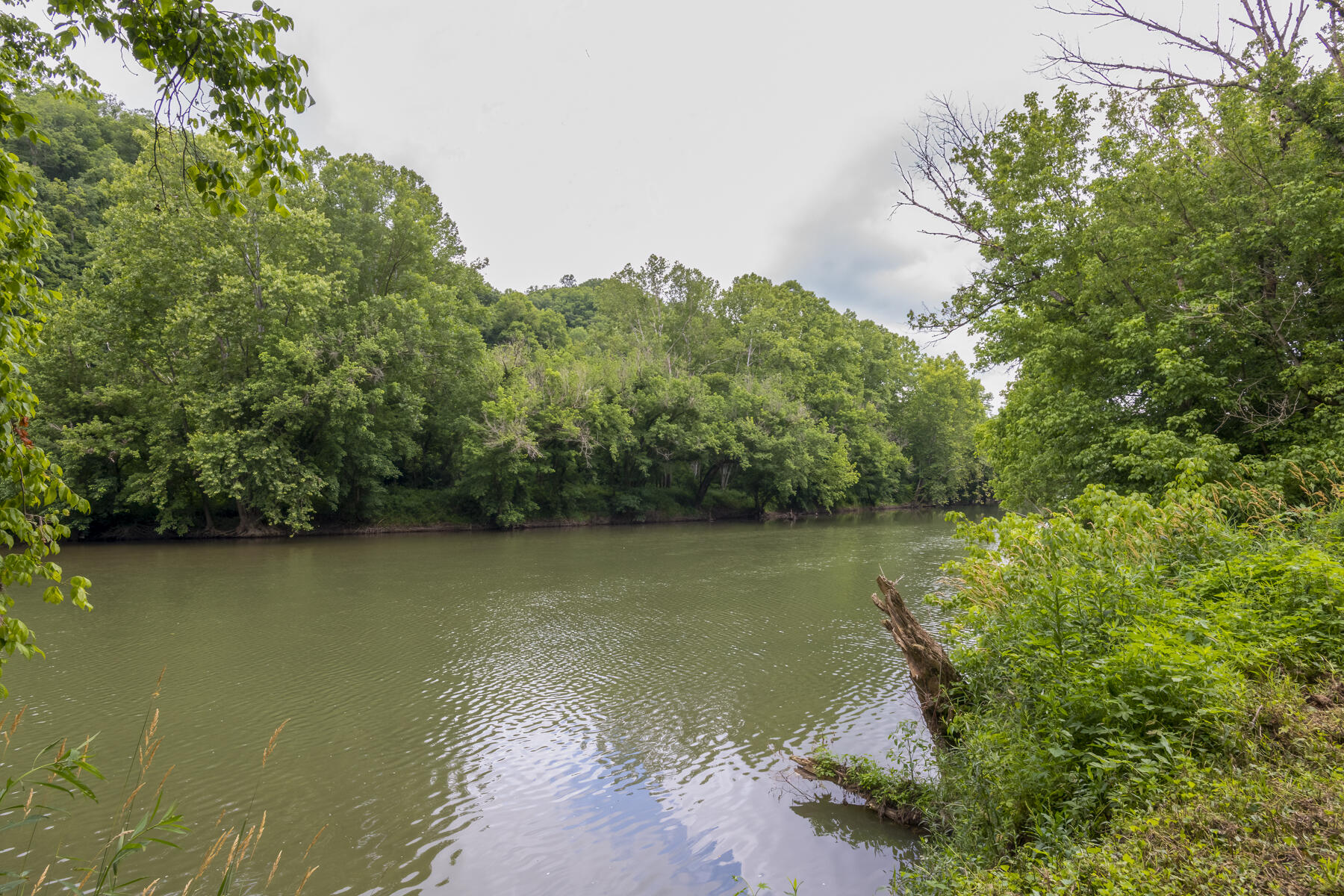 9557 Chestnut Ridge Road Eidson, TN 37731 - Photo 4 of 33 _8504923-Edit-Edit-Edit