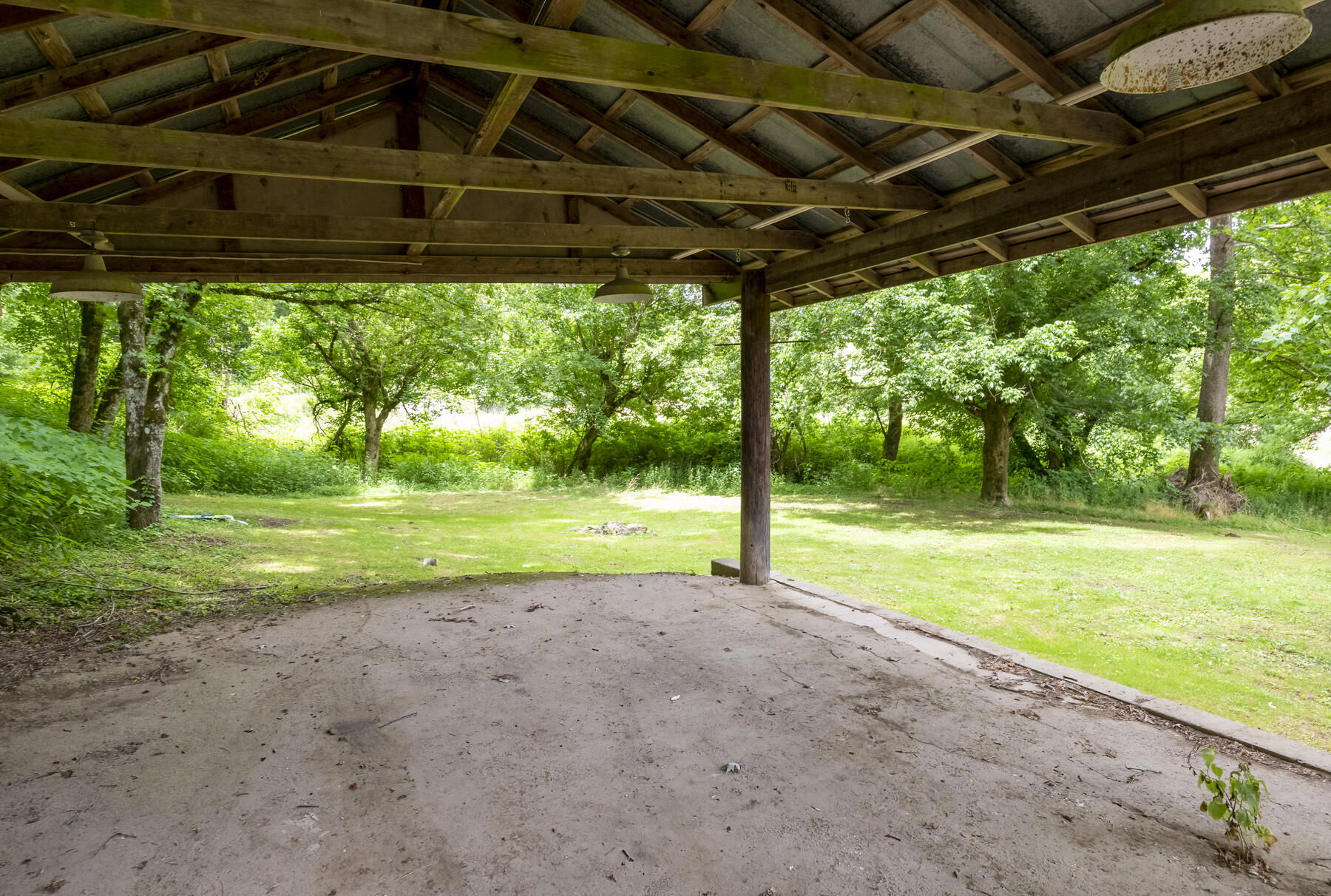 9557 Chestnut Ridge Road Eidson, TN 37731 - Photo 9 of 33 _8504940-Edit-Edit