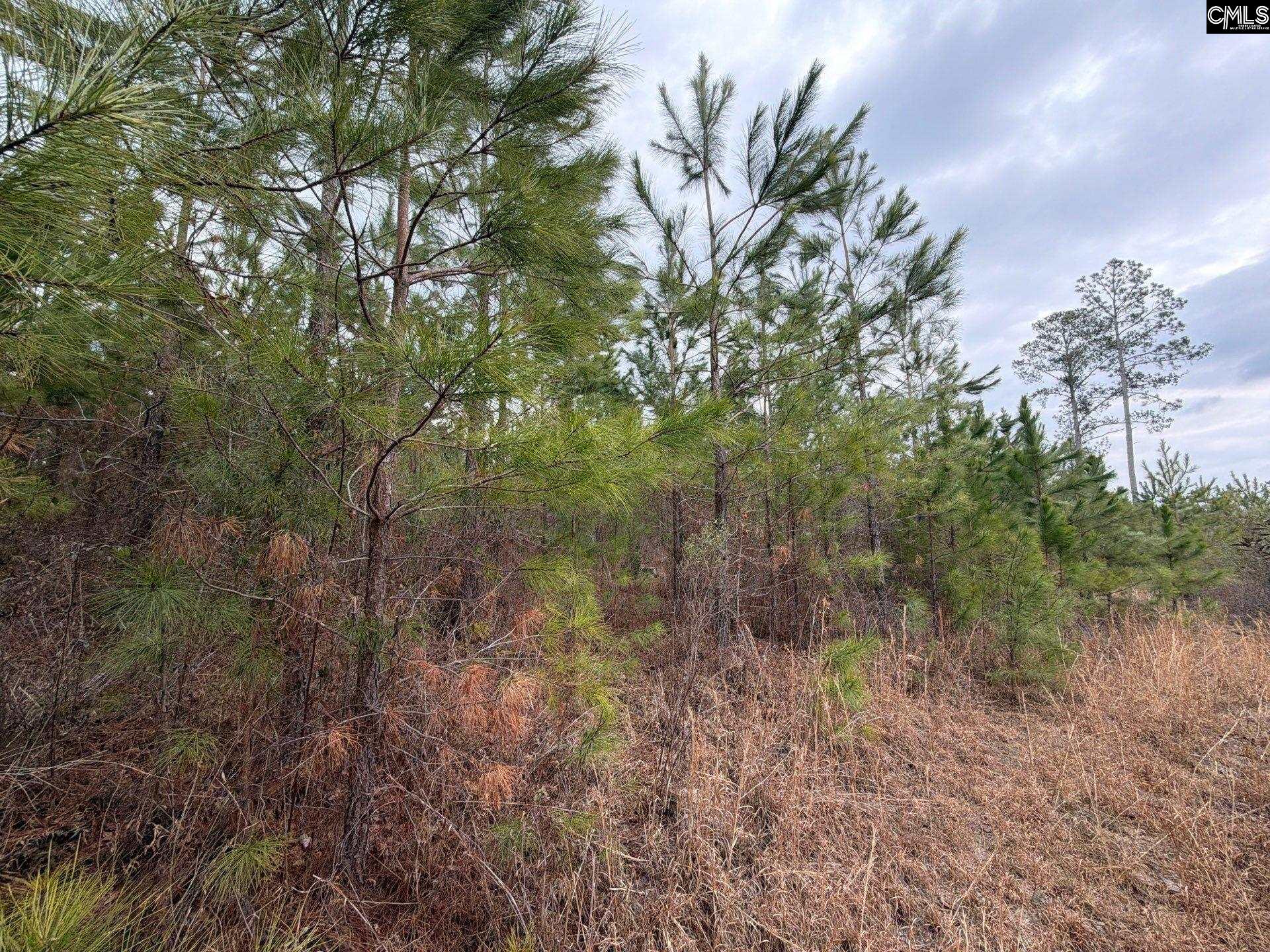 3 Jc Barefoot Road, Unit BFF II 3 Patrick, SC 29584 - Photo 17 of 23