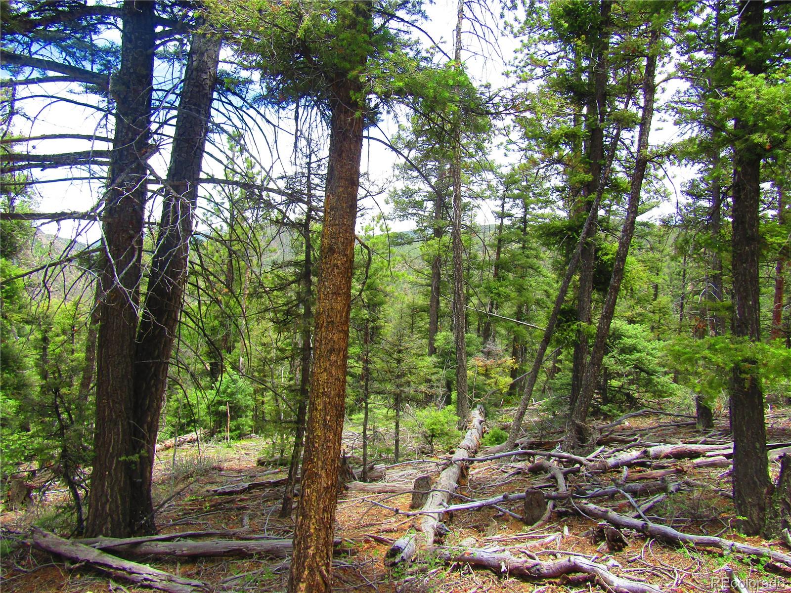 Lot 6028 Spruce Roads San Luis, CO 81152 - Photo 8 of 13