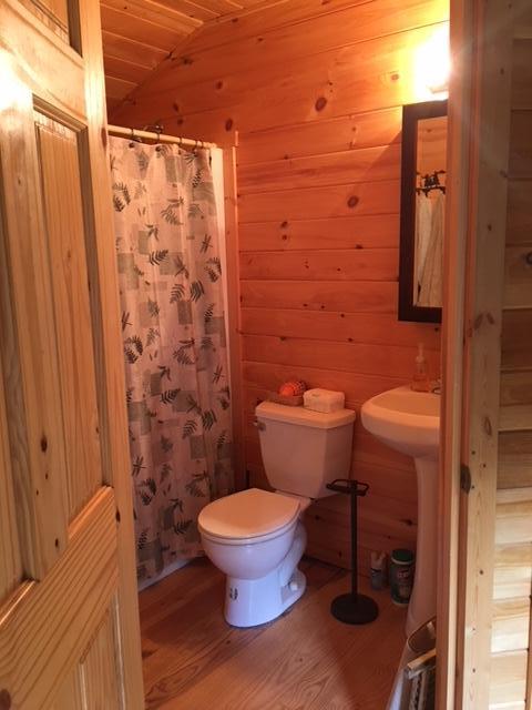 21 Island Road Monson, ME 04464 - Photo 44 of 61 IMG_6381 (1)