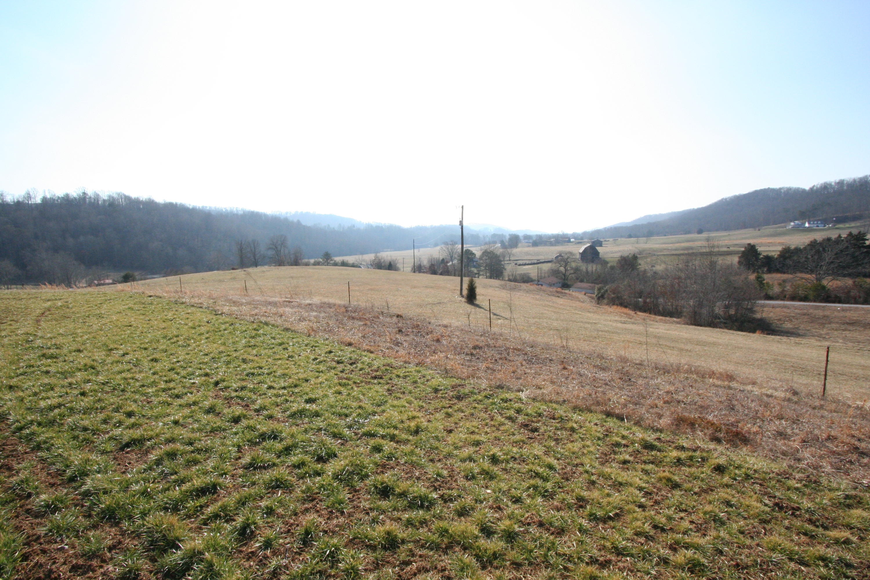 Tater Valley Road Luttrell, TN 37779 - Photo 2 of 35 IMG_0002