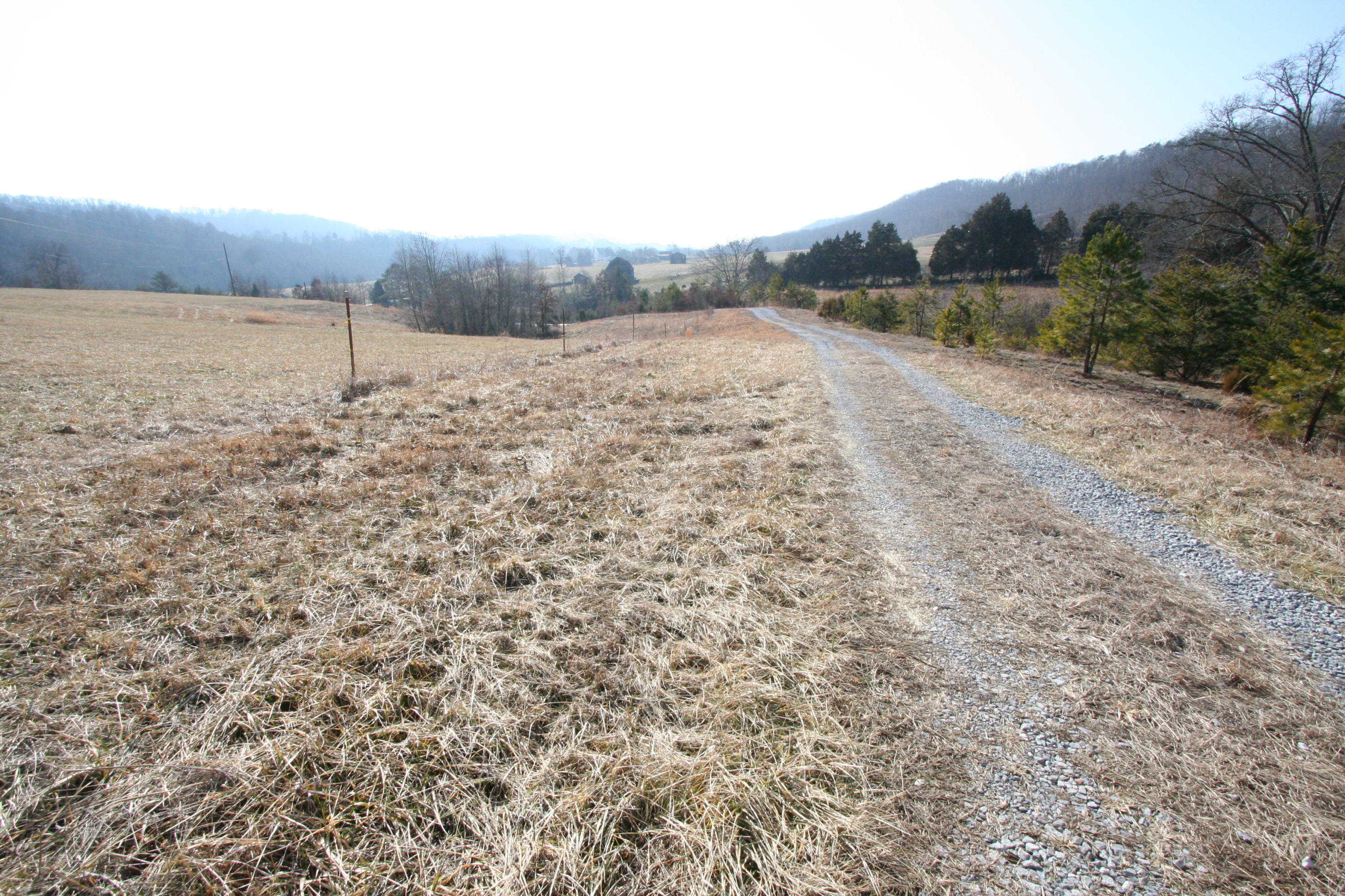 Tater Valley Road Luttrell, TN 37779 - Photo 11 of 35 IMG_0011