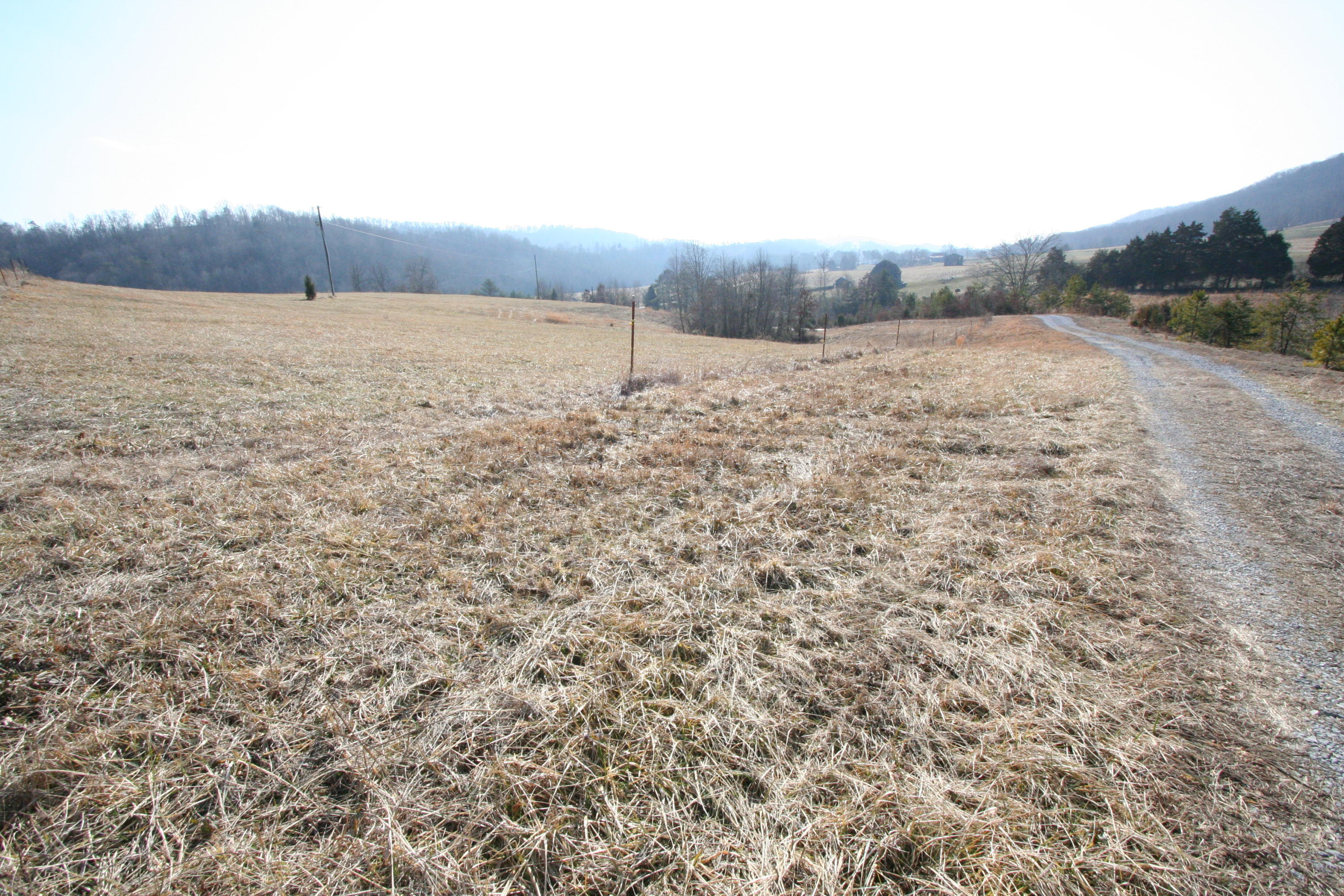 Tater Valley Road Luttrell, TN 37779 - Photo 12 of 35 IMG_0012