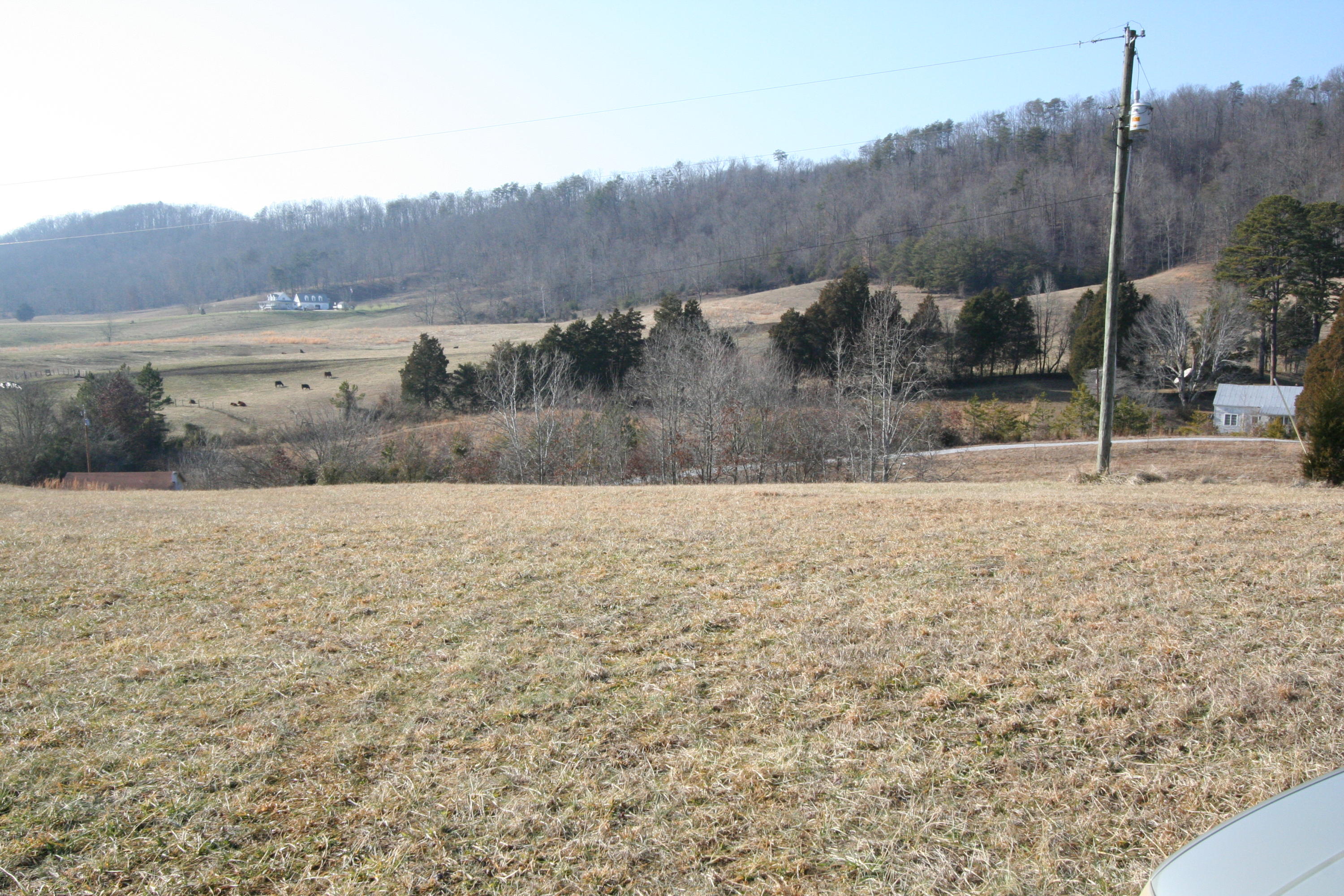 Tater Valley Road Luttrell, TN 37779 - Photo 14 of 35 IMG_0014