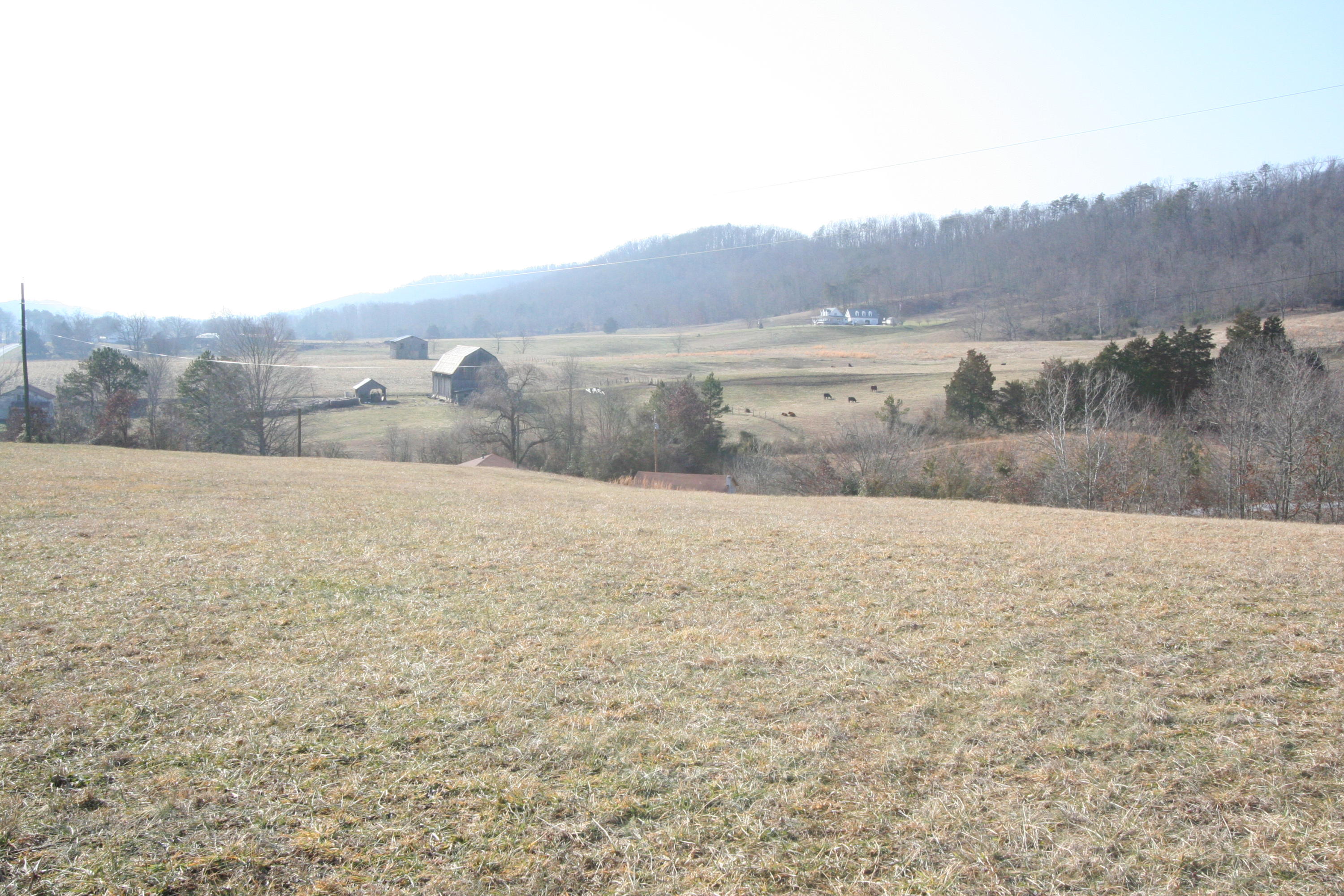 Tater Valley Road Luttrell, TN 37779 - Photo 15 of 35 IMG_0015