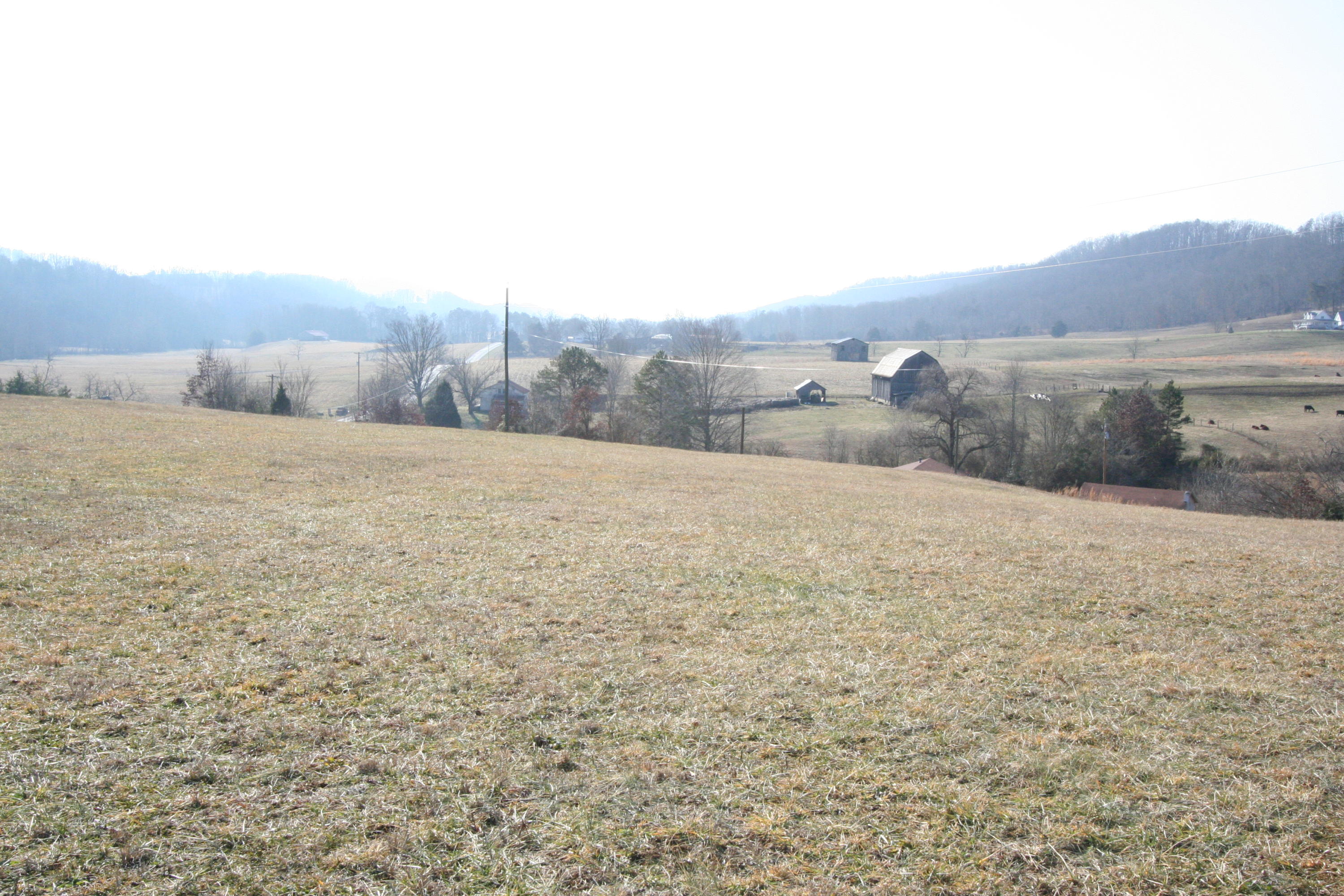 Tater Valley Road Luttrell, TN 37779 - Photo 16 of 35 IMG_0016