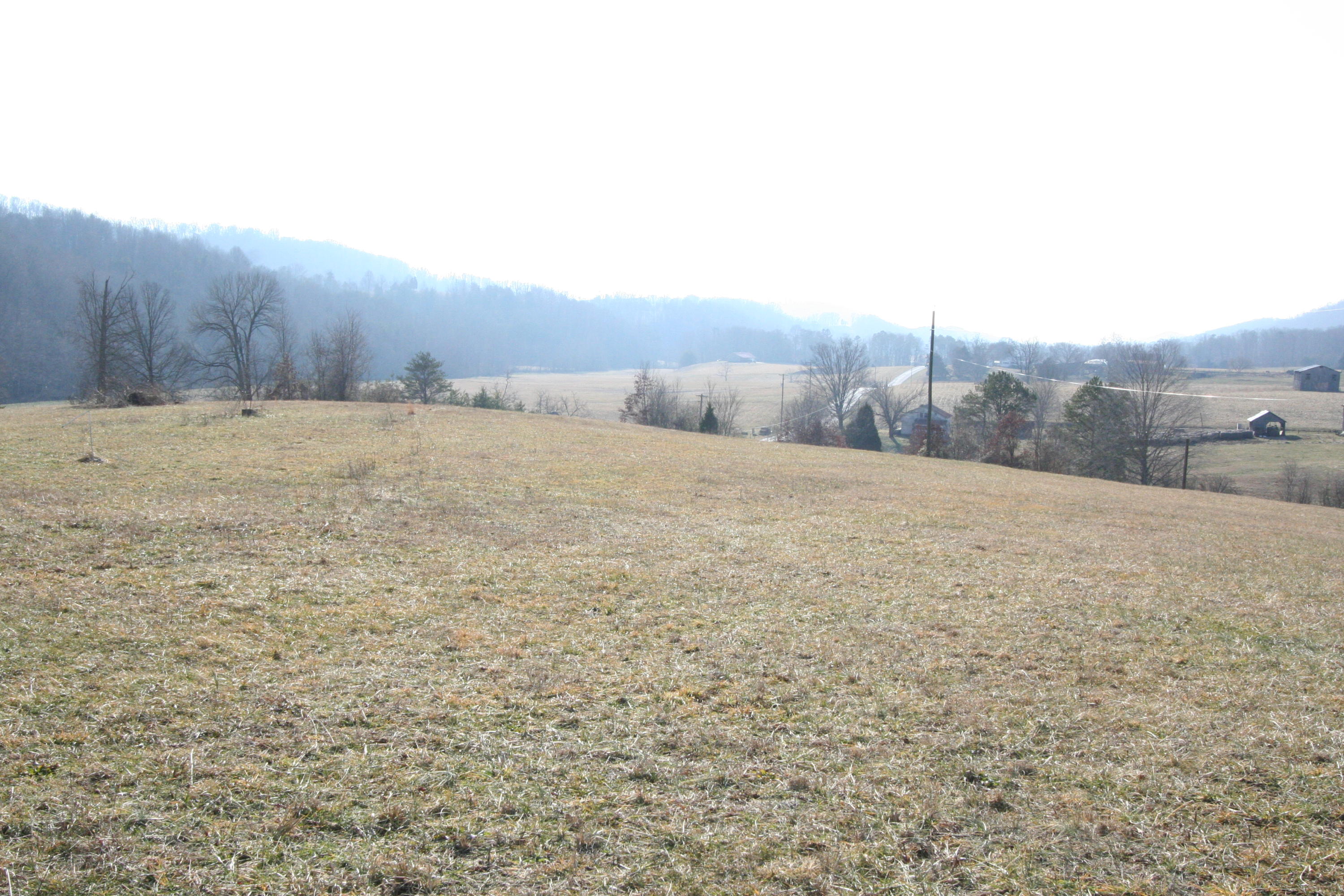 Tater Valley Road Luttrell, TN 37779 - Photo 17 of 35 IMG_0017