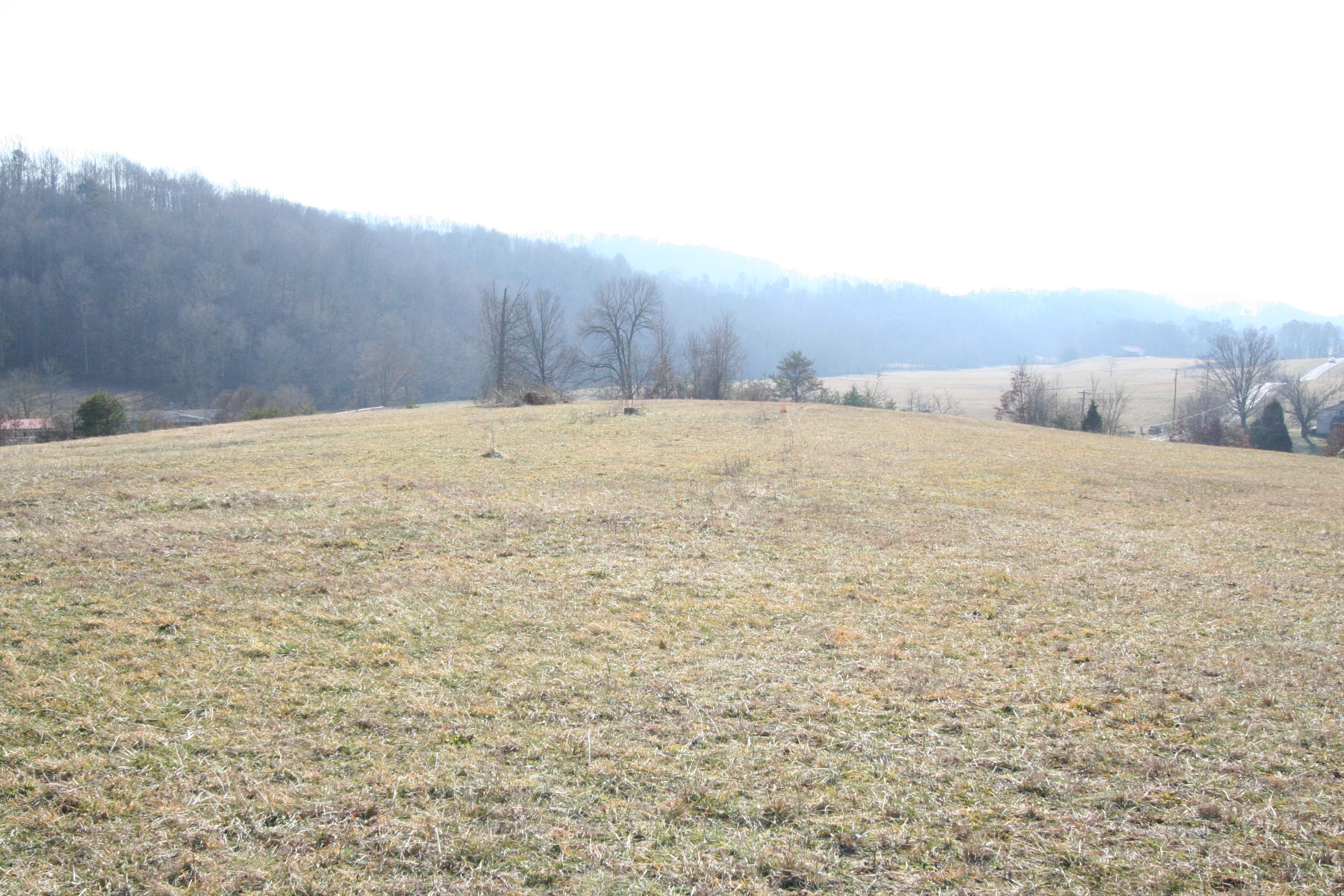 Tater Valley Road Luttrell, TN 37779 - Photo 18 of 35 IMG_0018