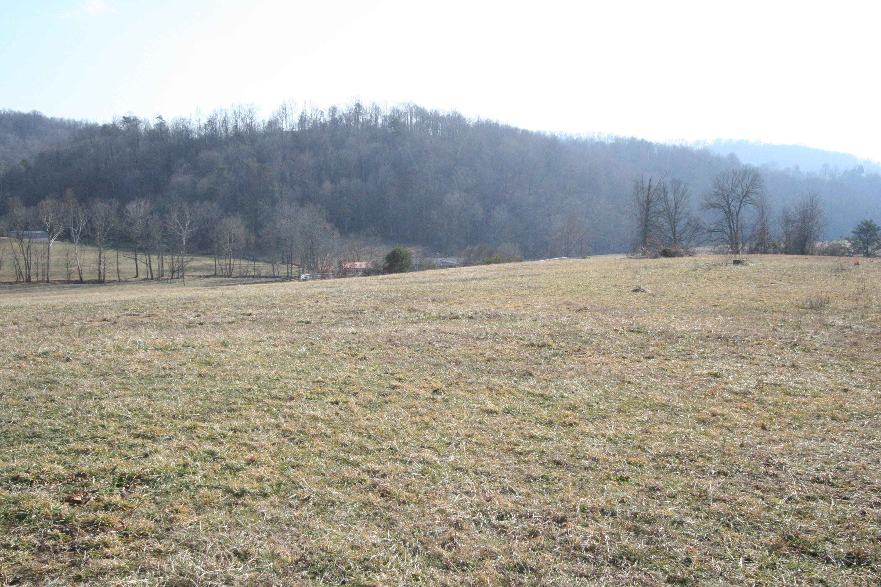 Tater Valley Road Luttrell, TN 37779 - Photo 19 of 35 IMG_0019