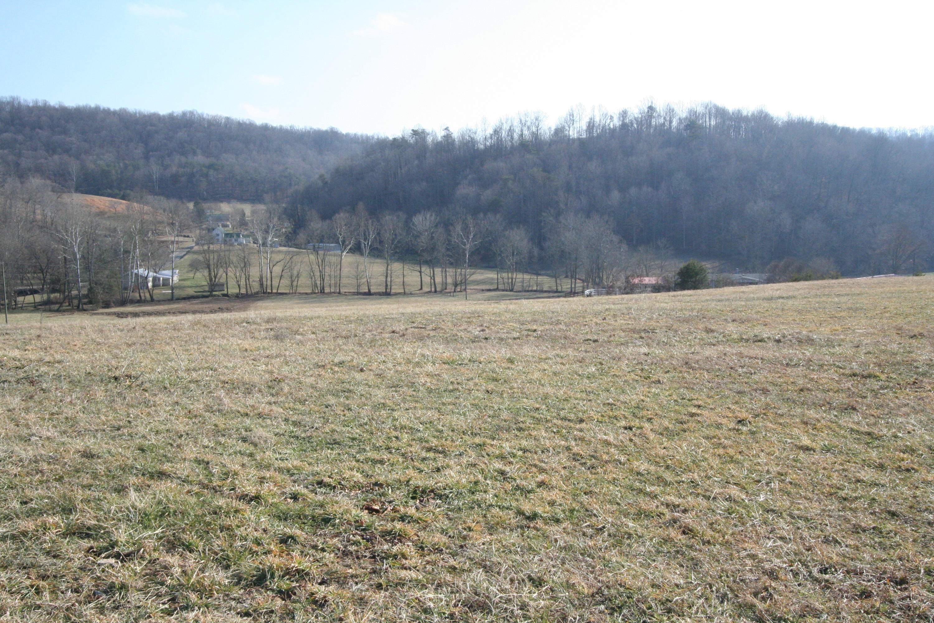 Tater Valley Road Luttrell, TN 37779 - Photo 20 of 35 IMG_0020