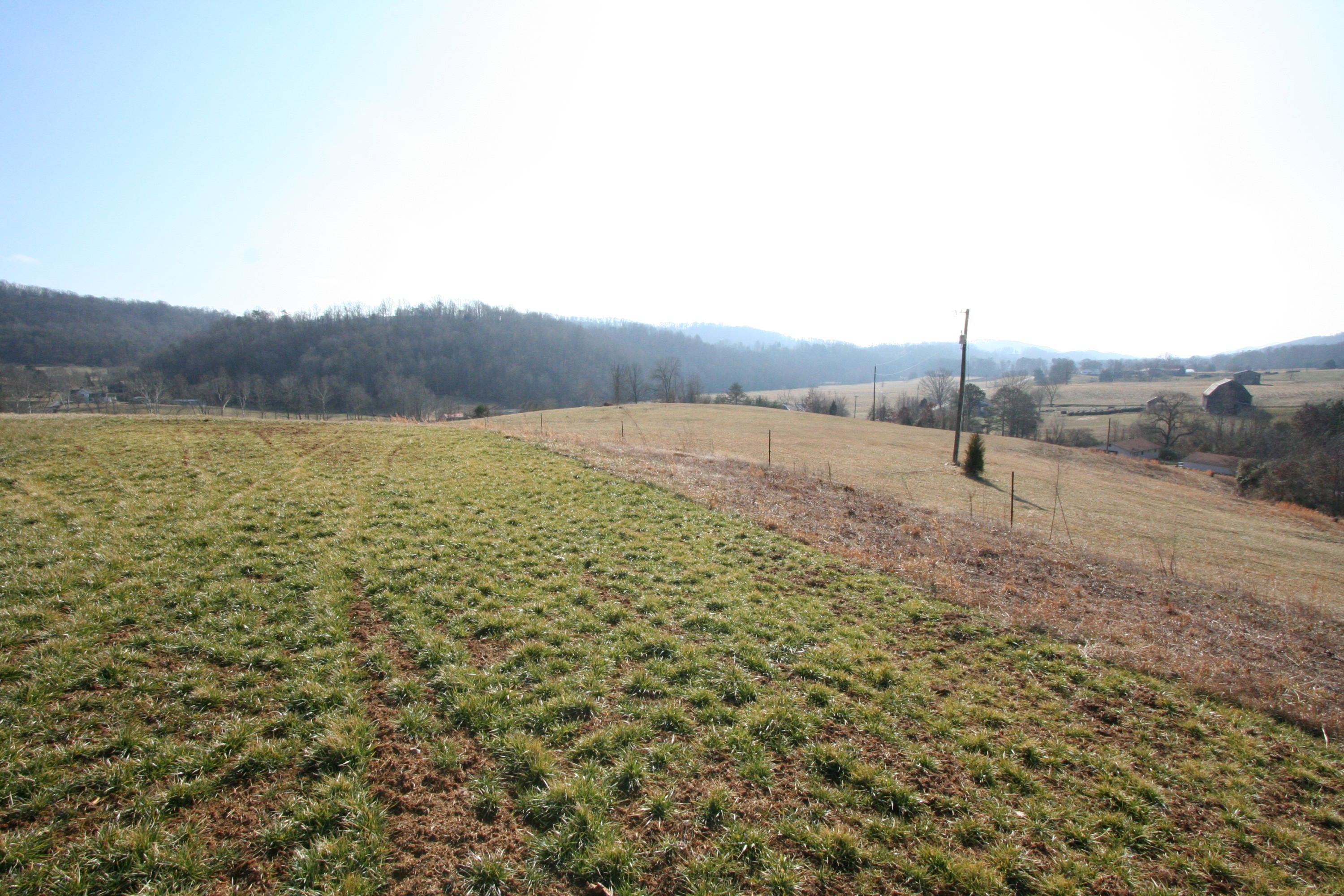 Tater Valley Road Luttrell, TN 37779 - Photo 3 of 35 IMG_0003