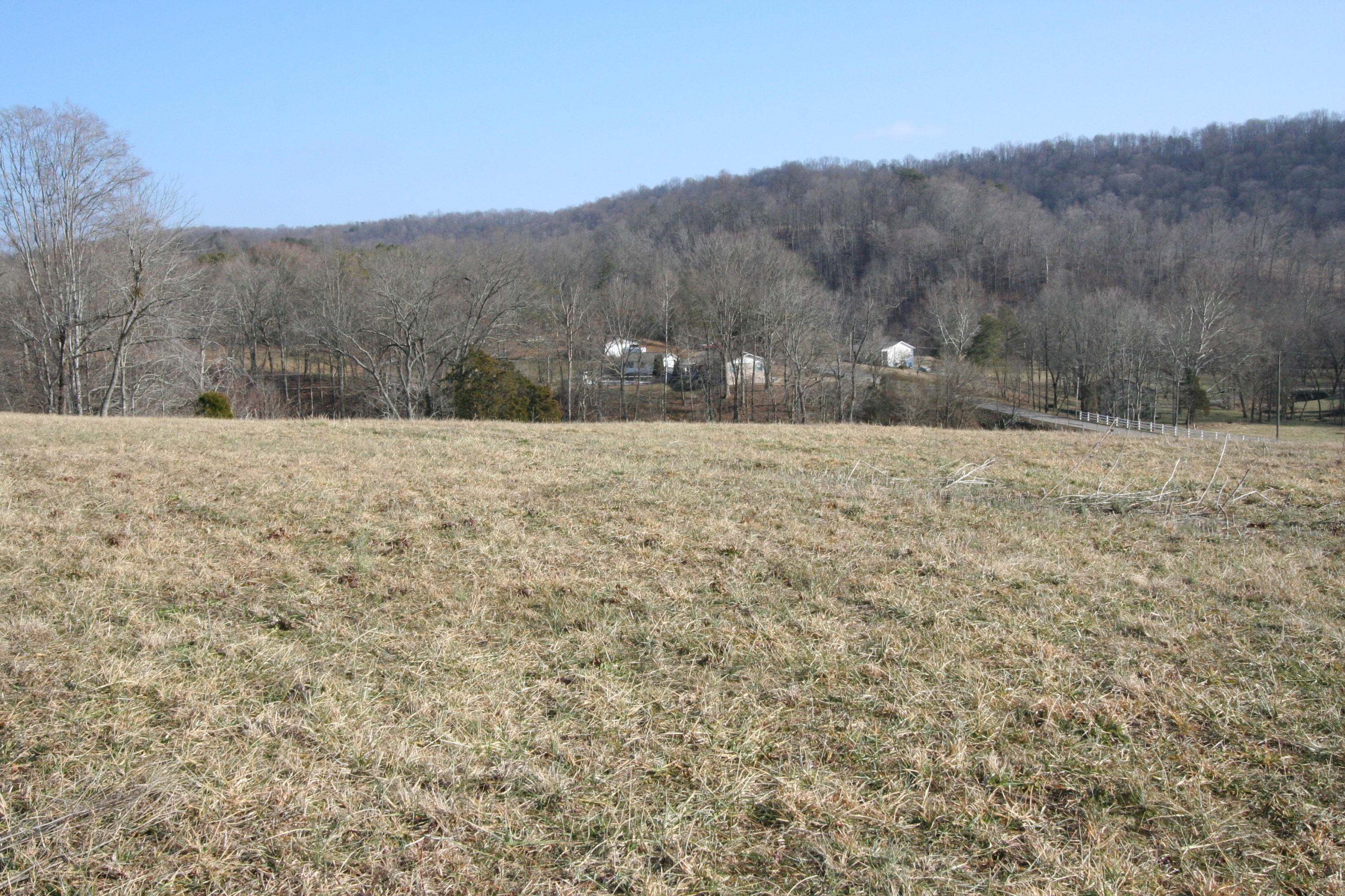 Tater Valley Road Luttrell, TN 37779 - Photo 24 of 35 IMG_0024
