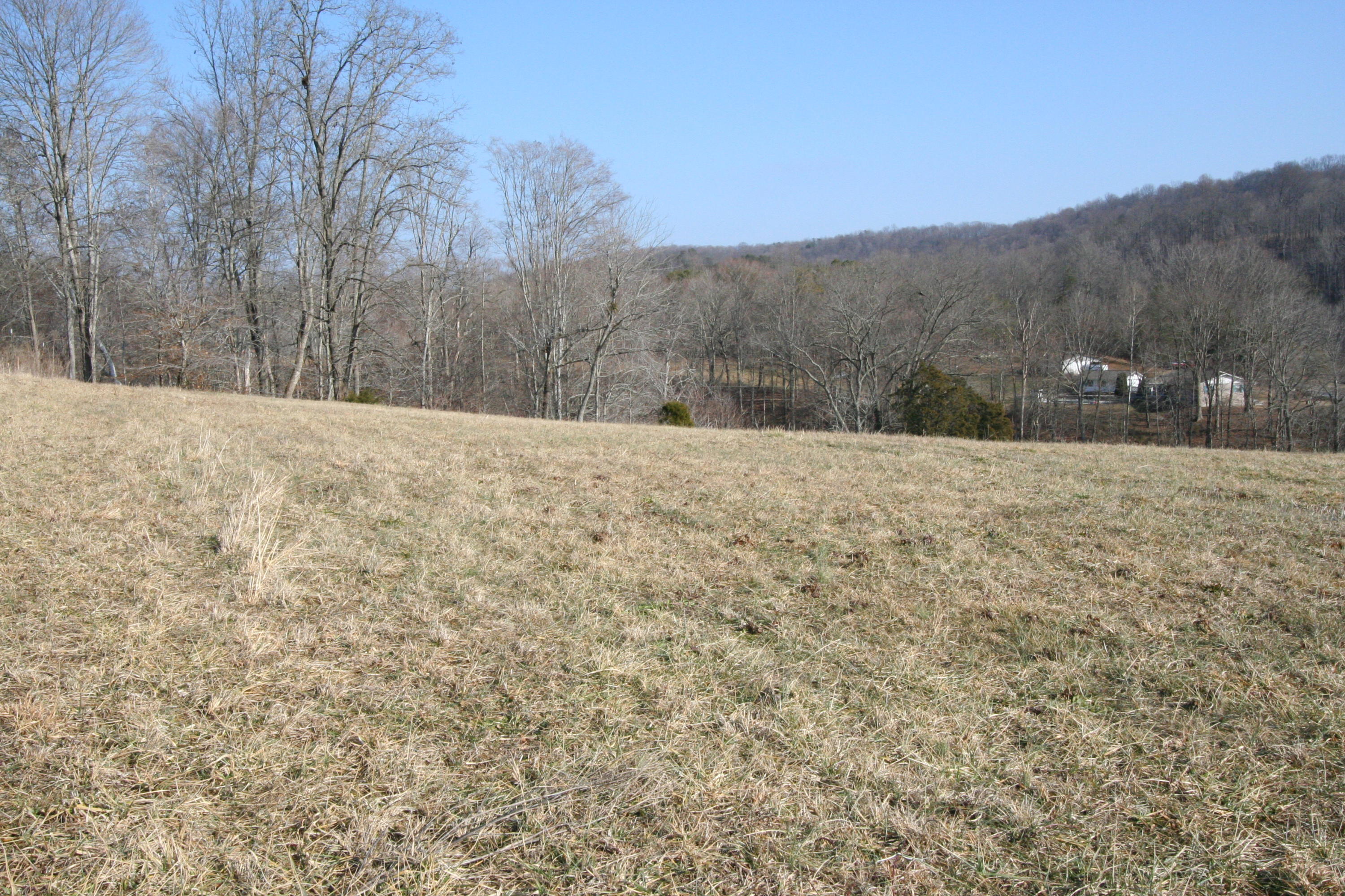 Tater Valley Road Luttrell, TN 37779 - Photo 25 of 35 IMG_0025