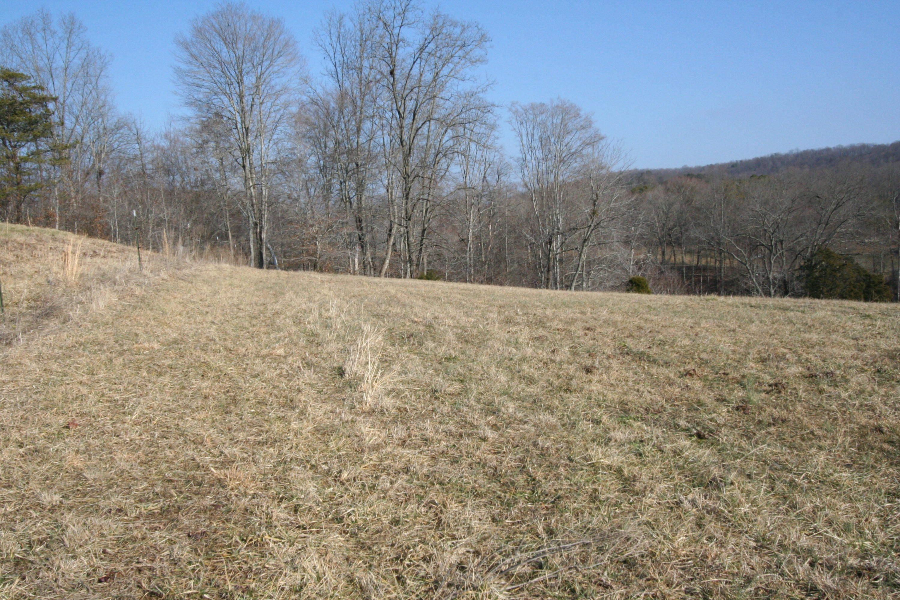 Tater Valley Road Luttrell, TN 37779 - Photo 26 of 35 IMG_0026