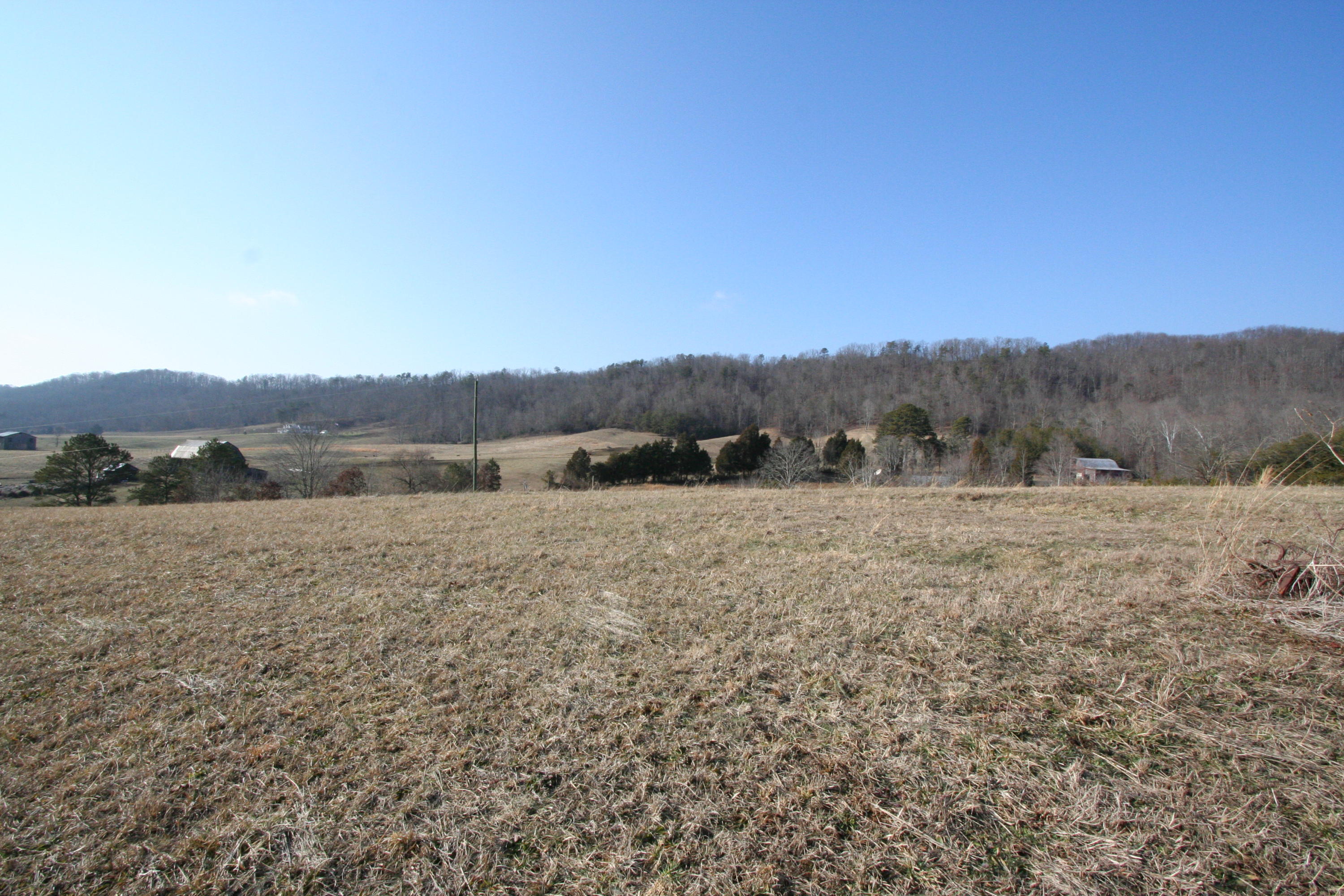 Tater Valley Road Luttrell, TN 37779 - Photo 29 of 35 IMG_0029