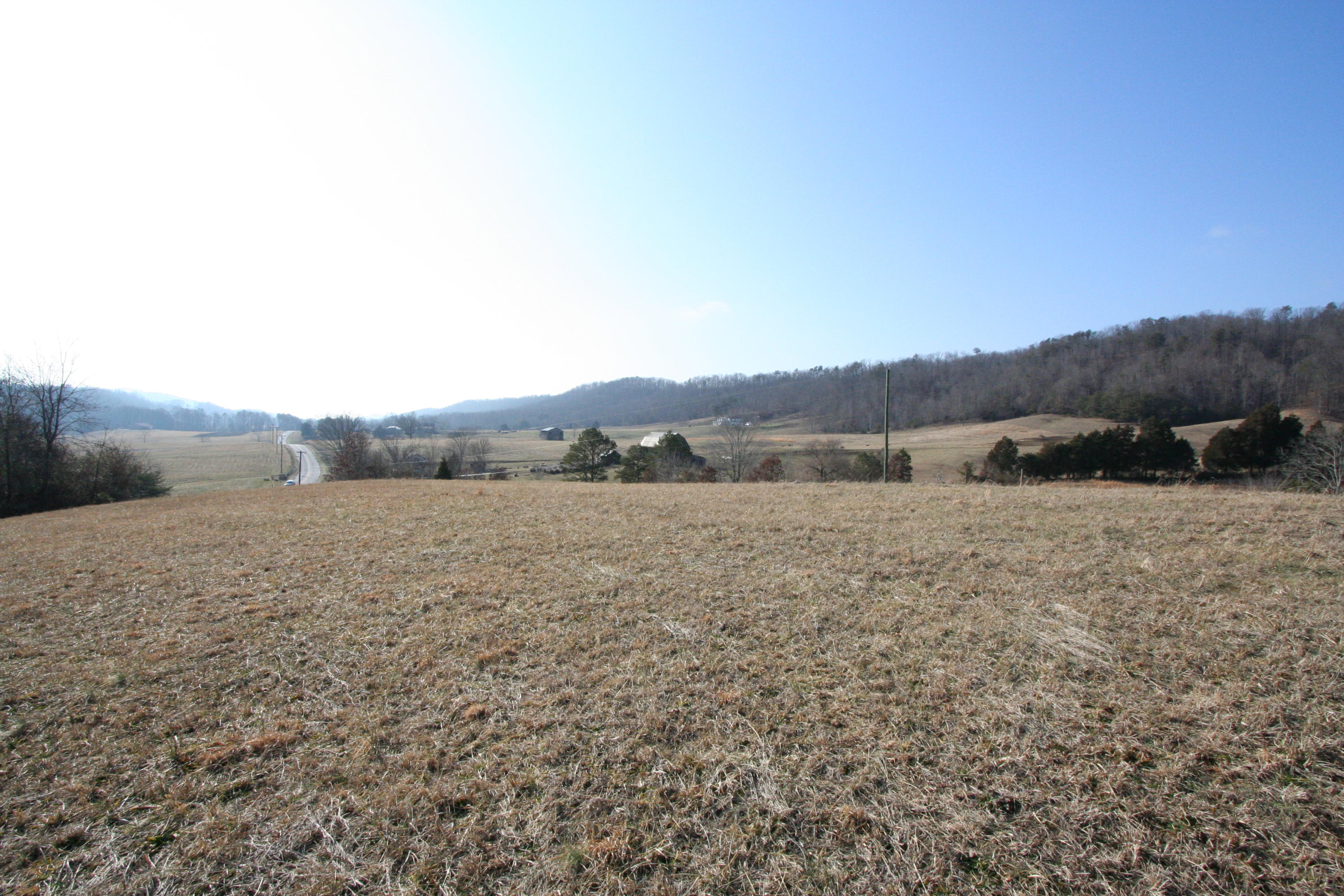 Tater Valley Road Luttrell, TN 37779 - Photo 30 of 35 IMG_0030