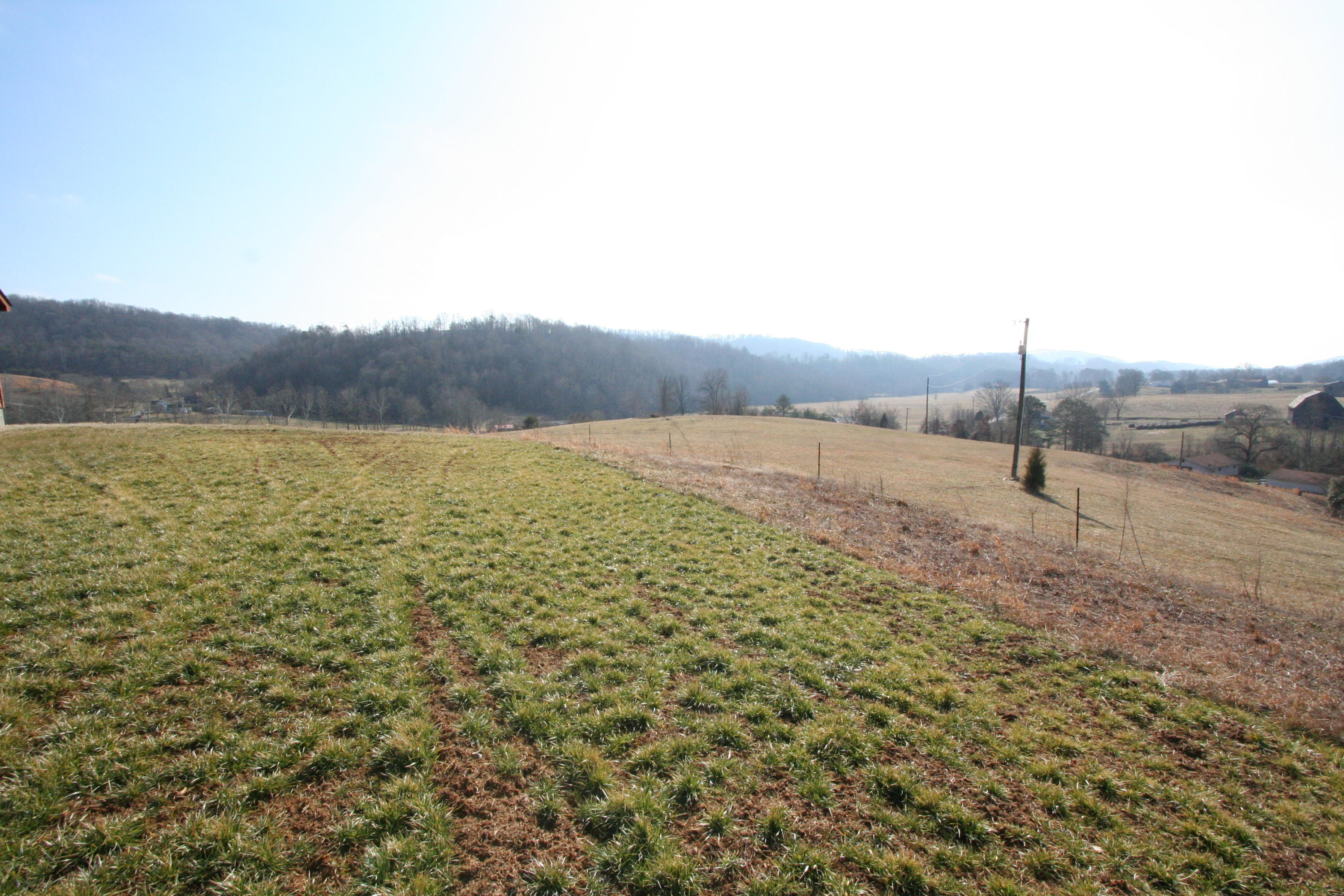 Tater Valley Road Luttrell, TN 37779 - Photo 4 of 35 IMG_0004