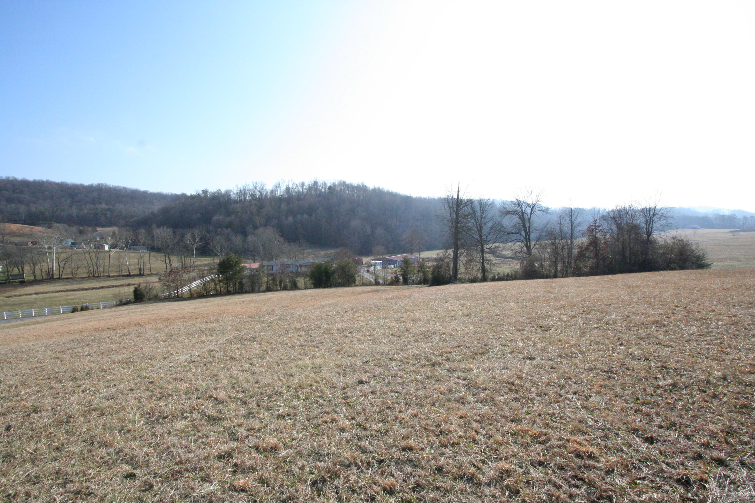 Tater Valley Road Luttrell, TN 37779 - Photo 32 of 35 IMG_0032