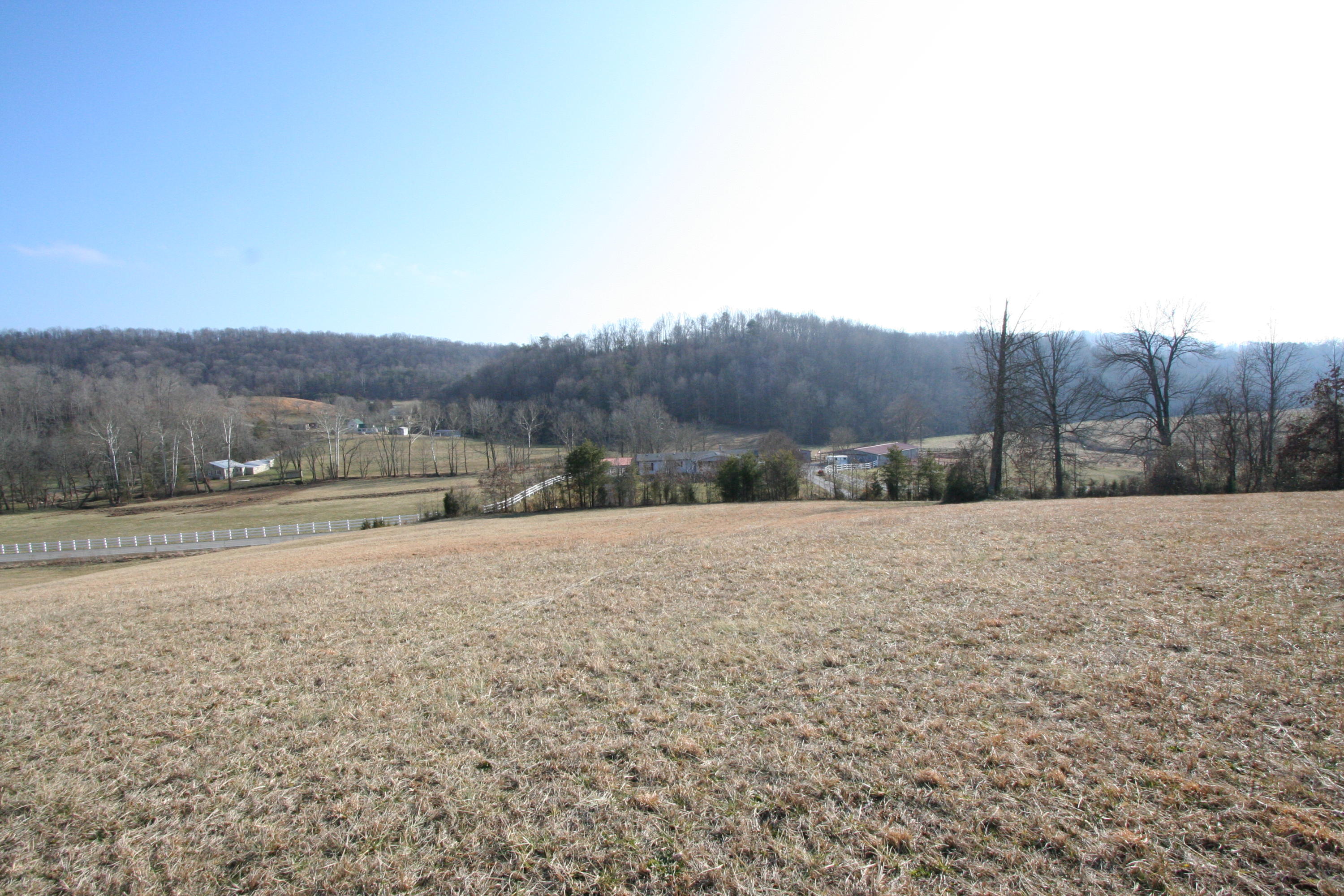 Tater Valley Road Luttrell, TN 37779 - Photo 33 of 35 IMG_0033