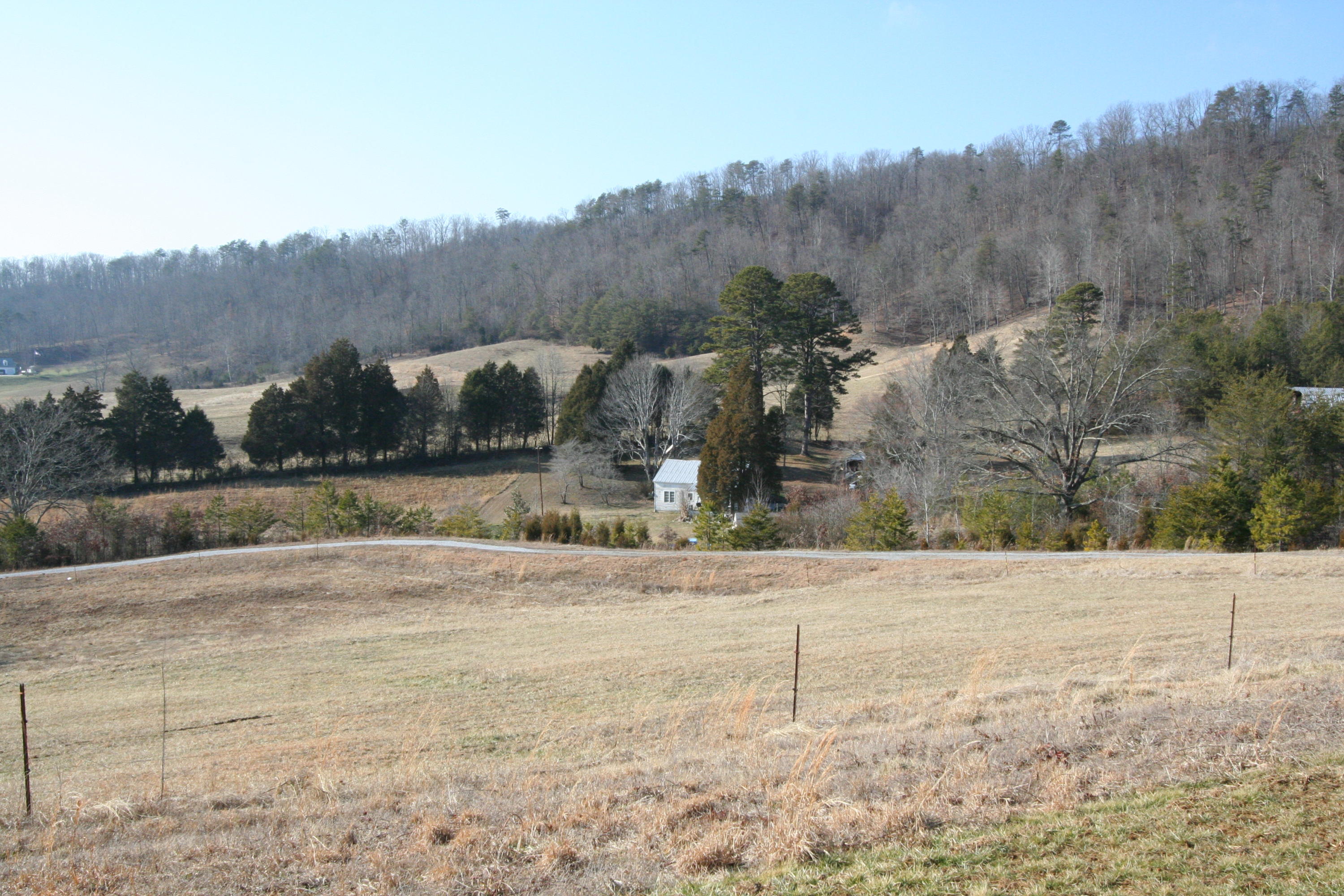 Tater Valley Road Luttrell, TN 37779 - Photo 5 of 35 IMG_0005