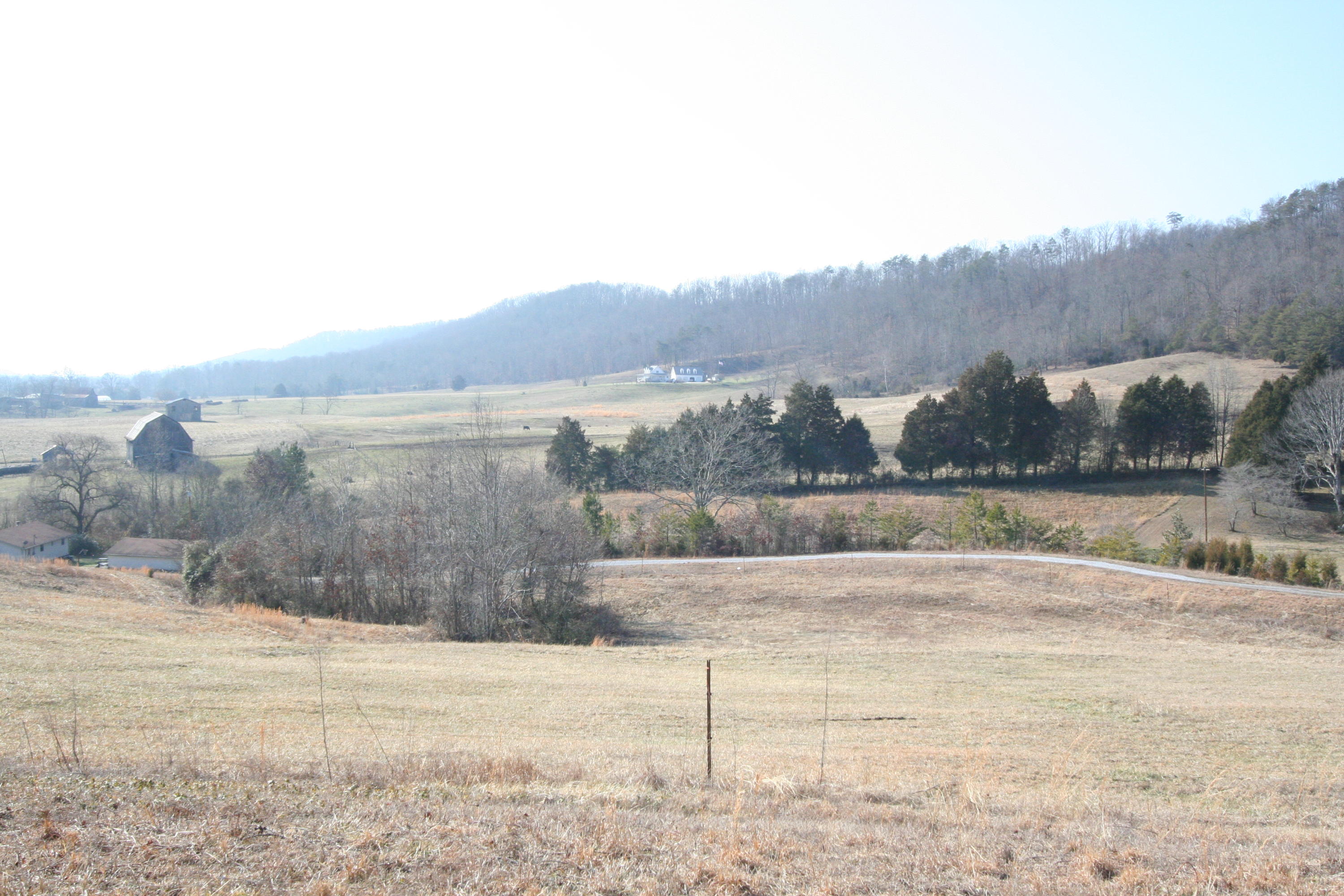 Tater Valley Road Luttrell, TN 37779 - Photo 6 of 35 IMG_0006