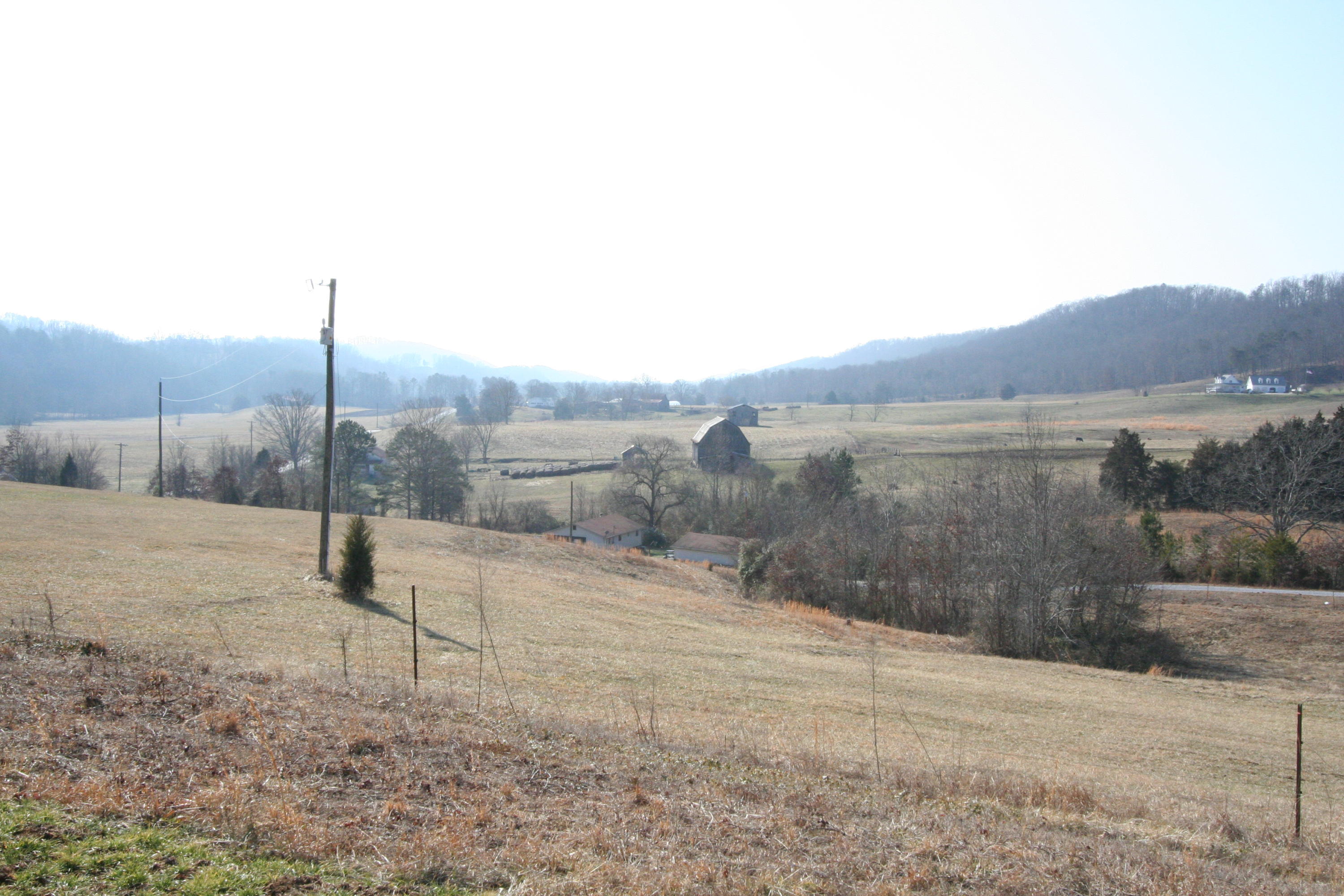 Tater Valley Road Luttrell, TN 37779 - Photo 7 of 35 IMG_0007